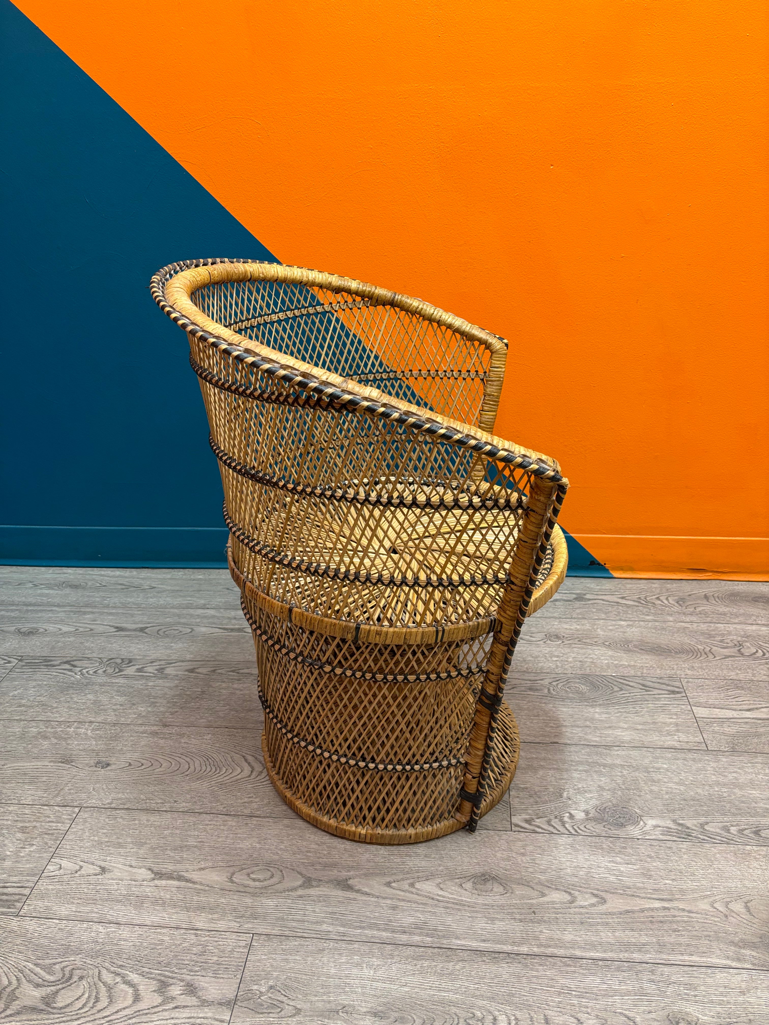 Peacock Chair