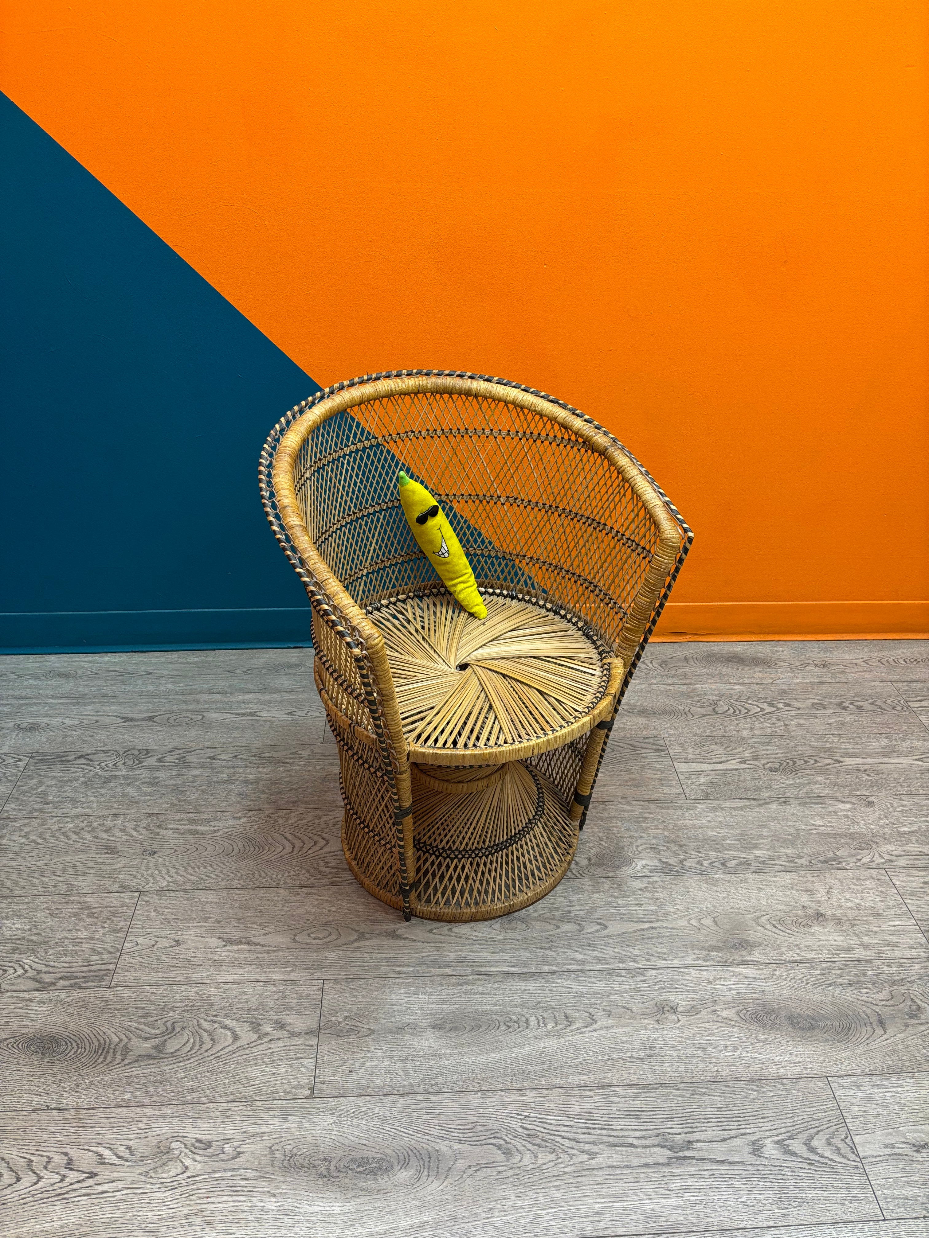 Peacock Chair