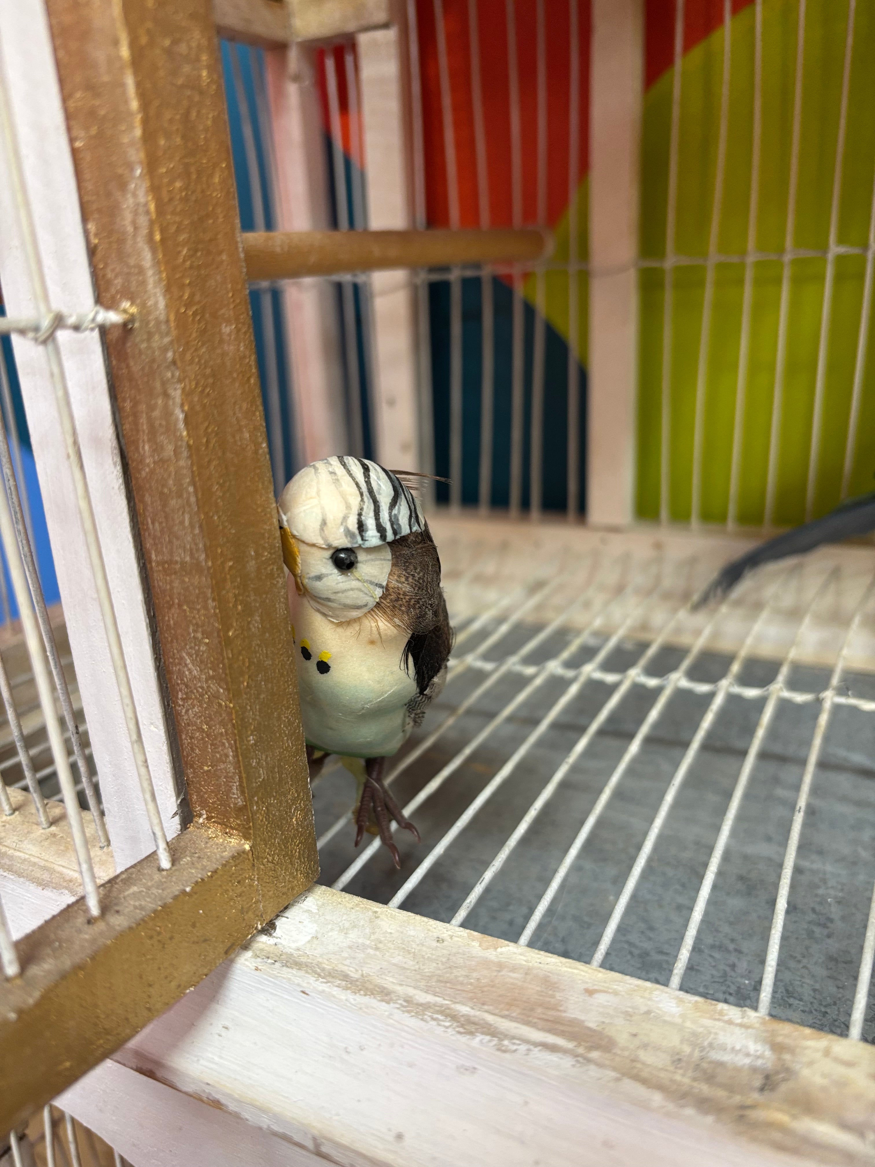 Wood Bird House