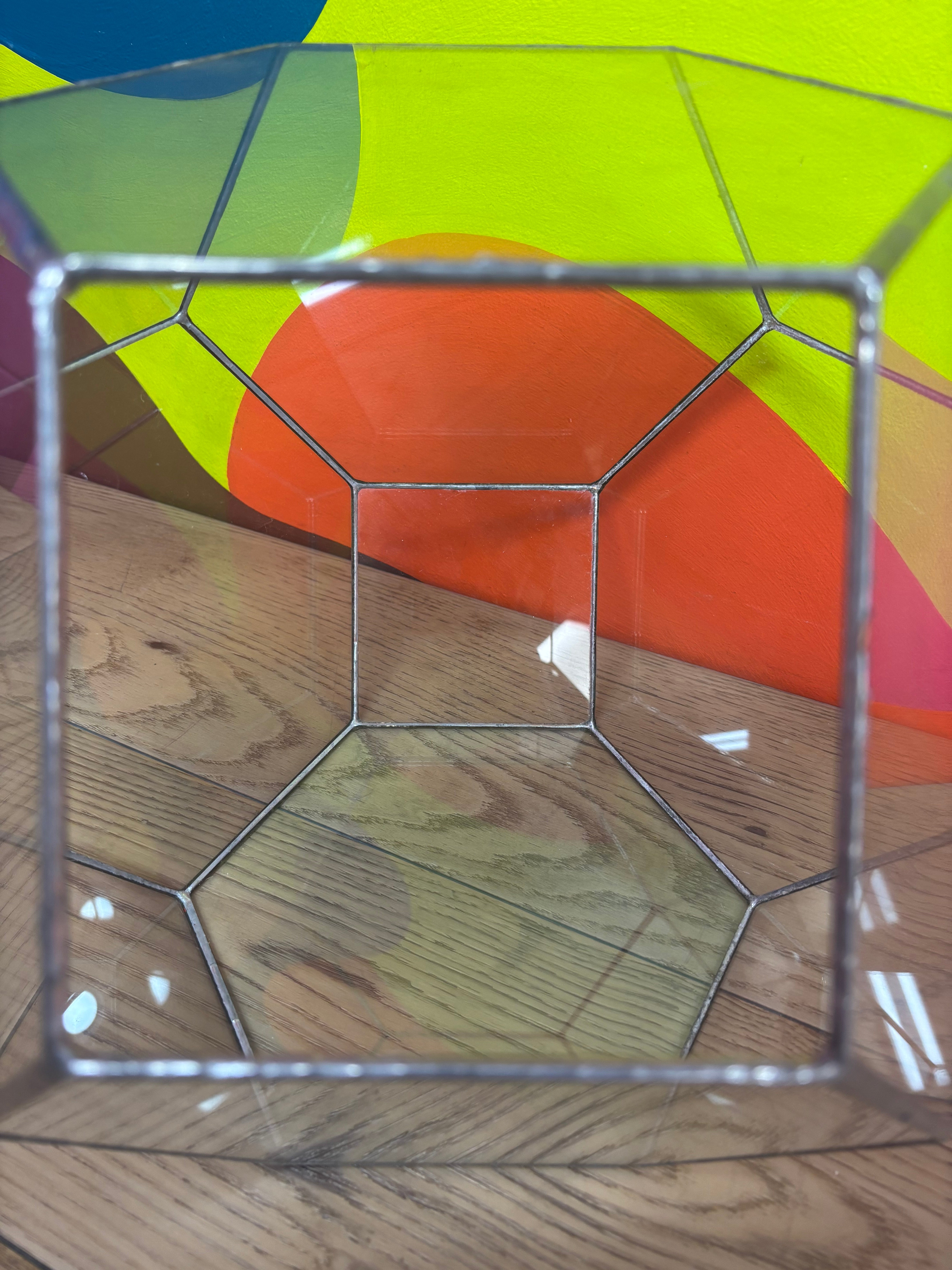 Dodecahedron Terrarium