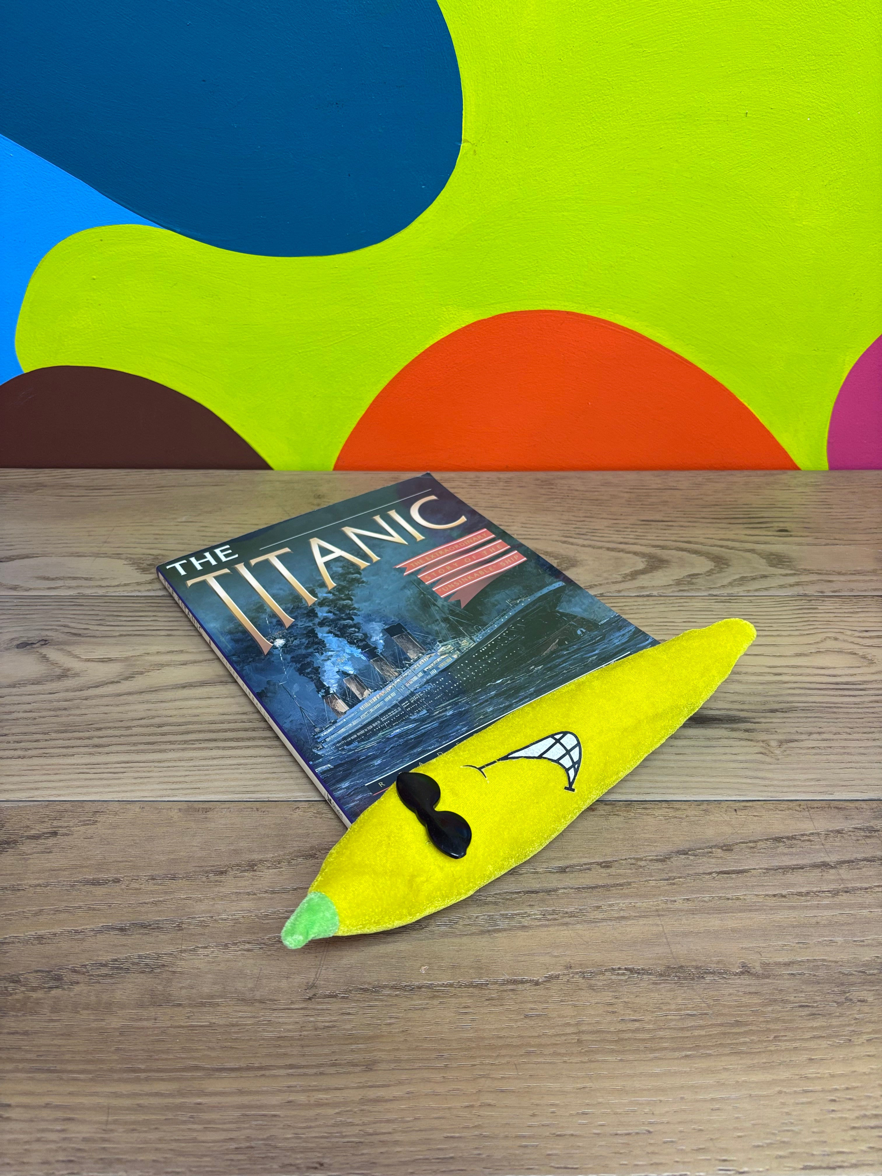 The Titanic: The Extraordinary Story of the Unsinkable Ship