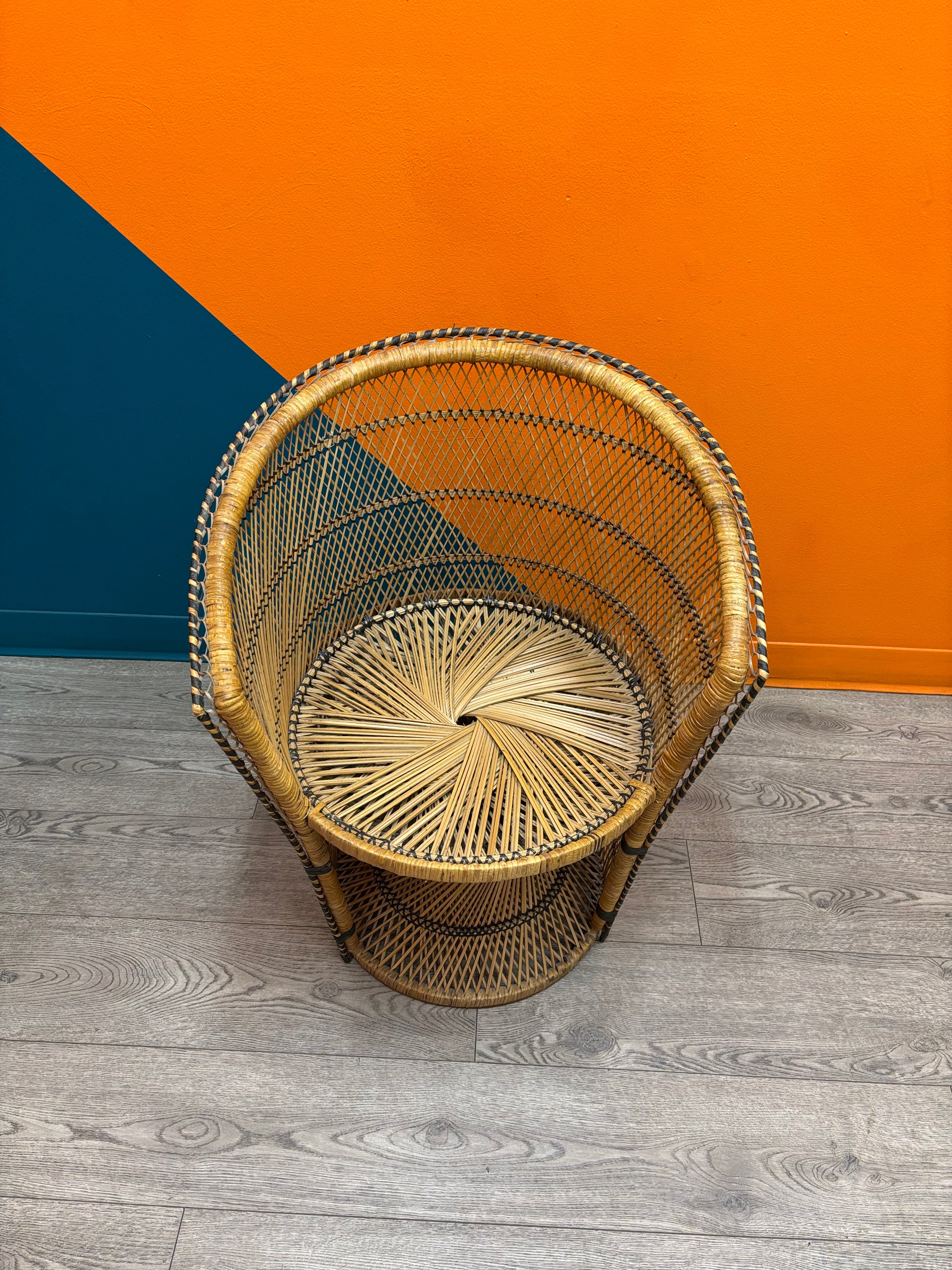 Peacock Chair