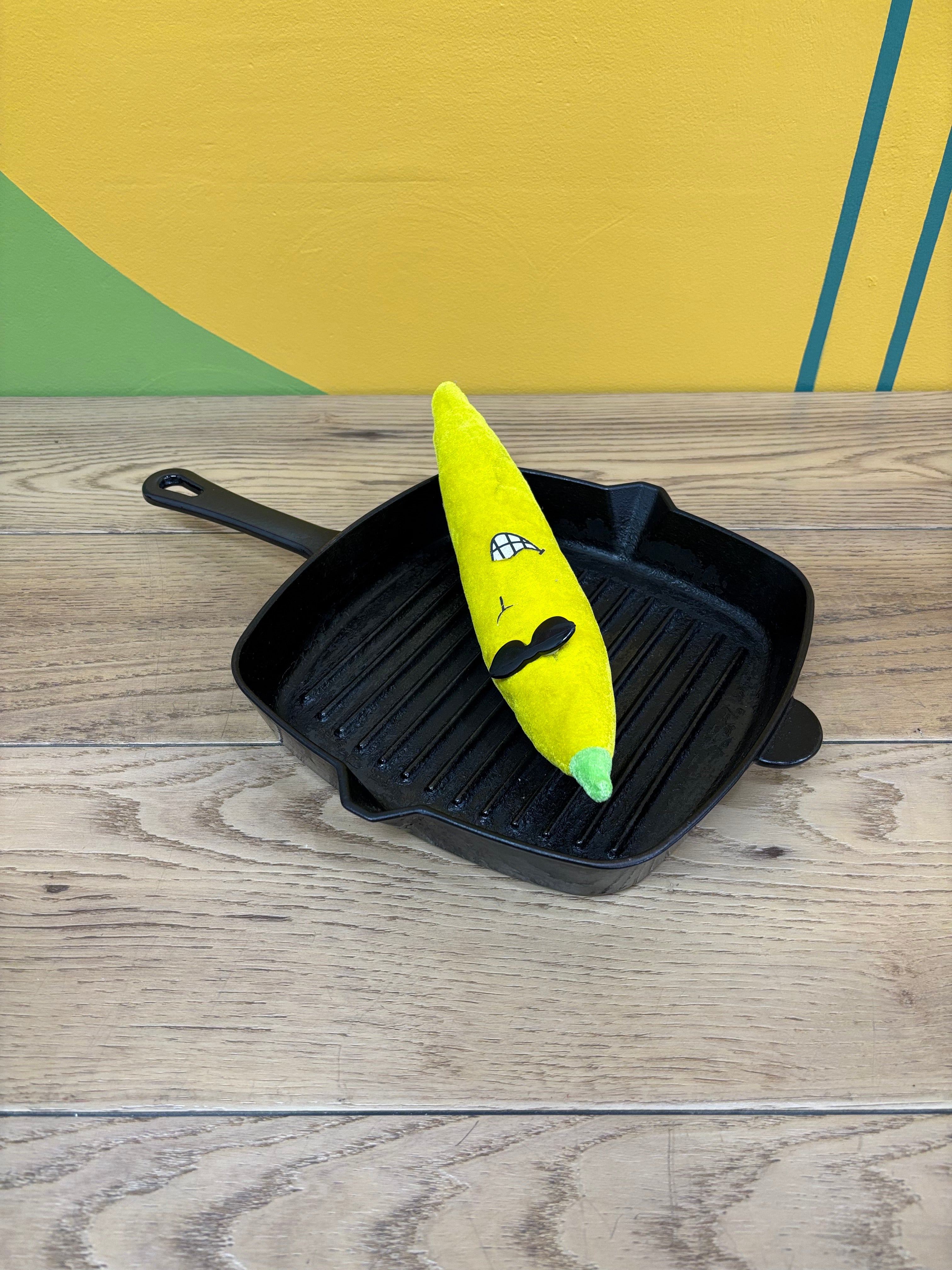 Enameled Cast Iron Griddle