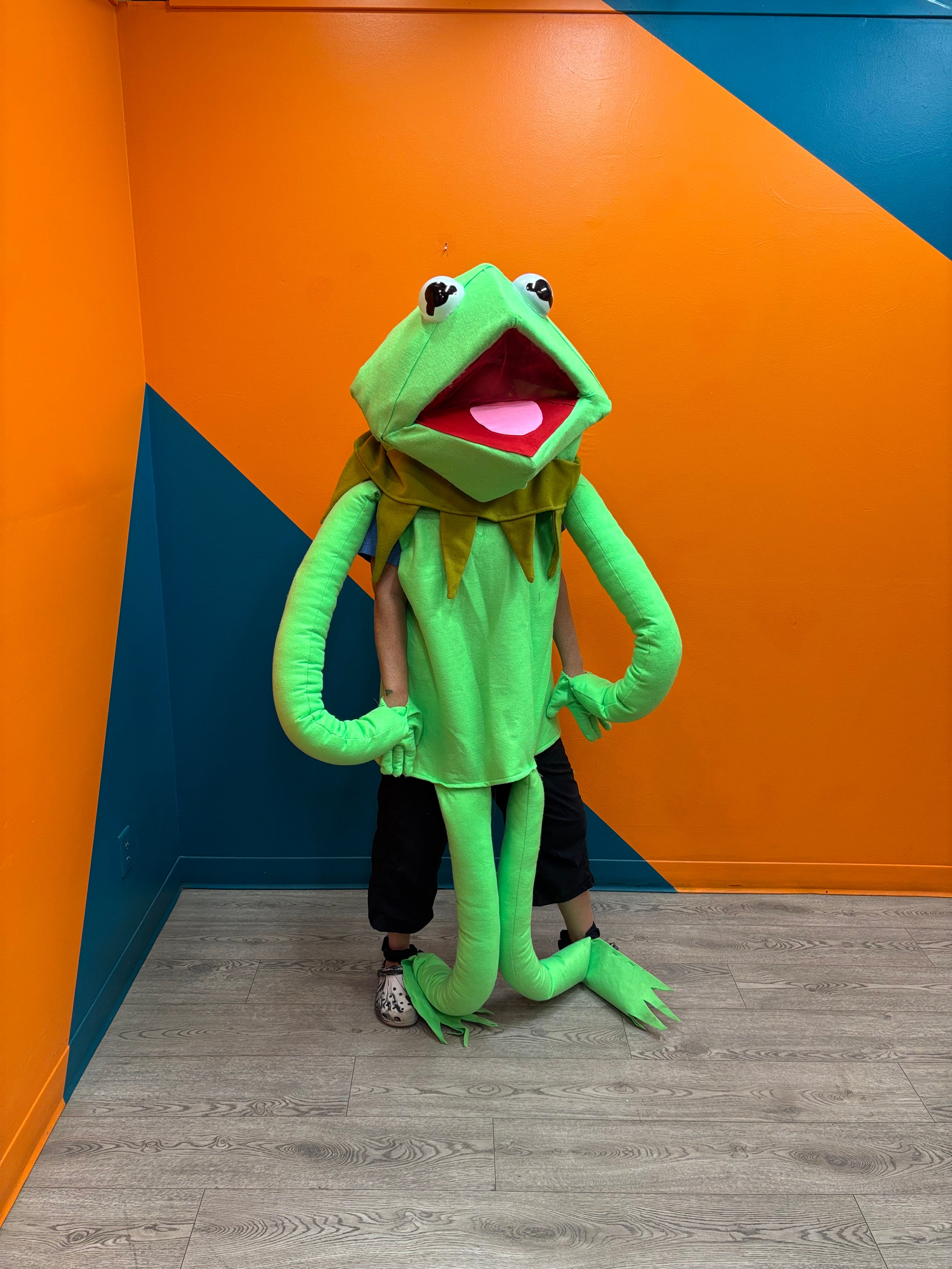 Adult Kermit Costume