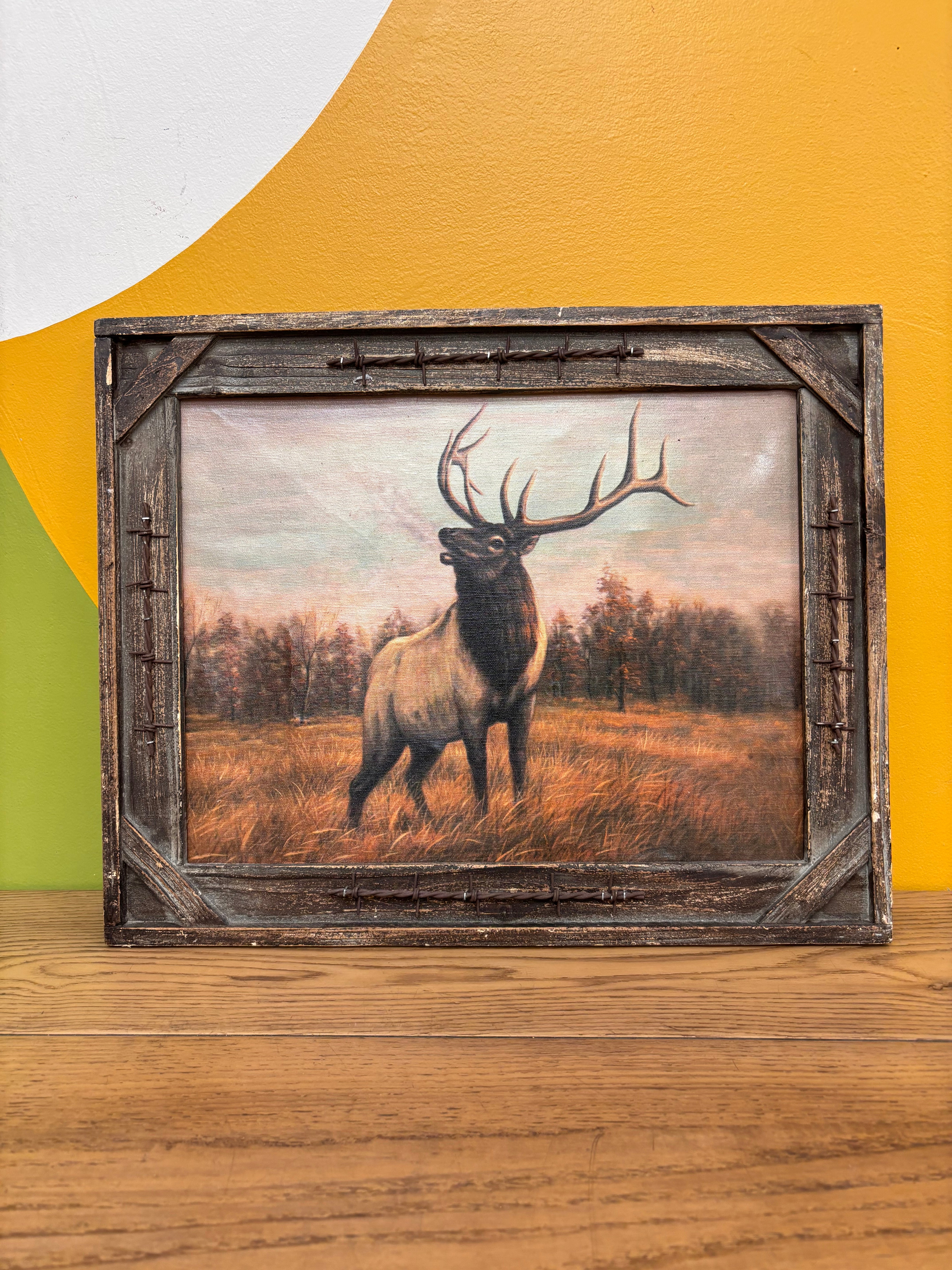 Framed Wildlife Art