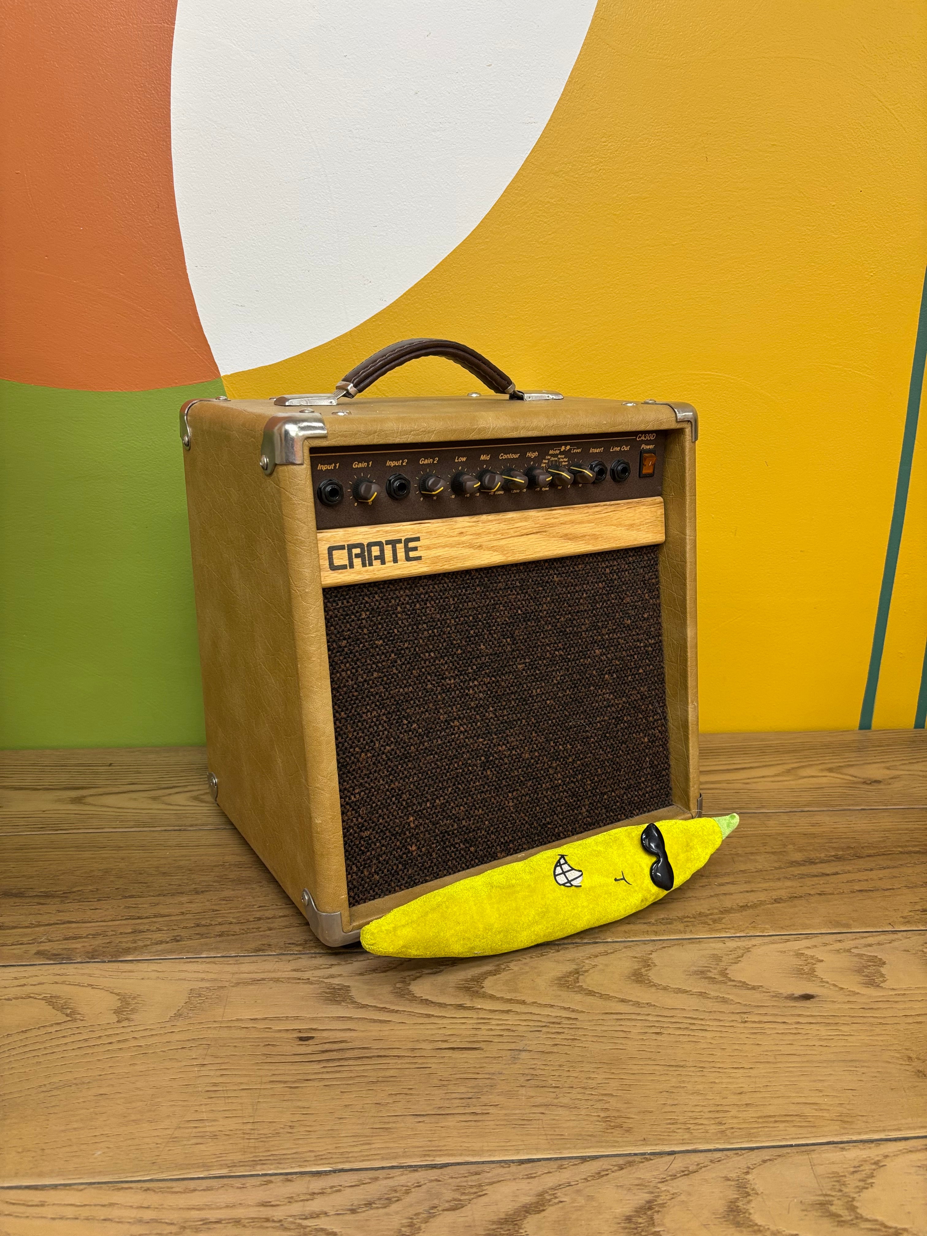 Crate CA30D Guitar Amp