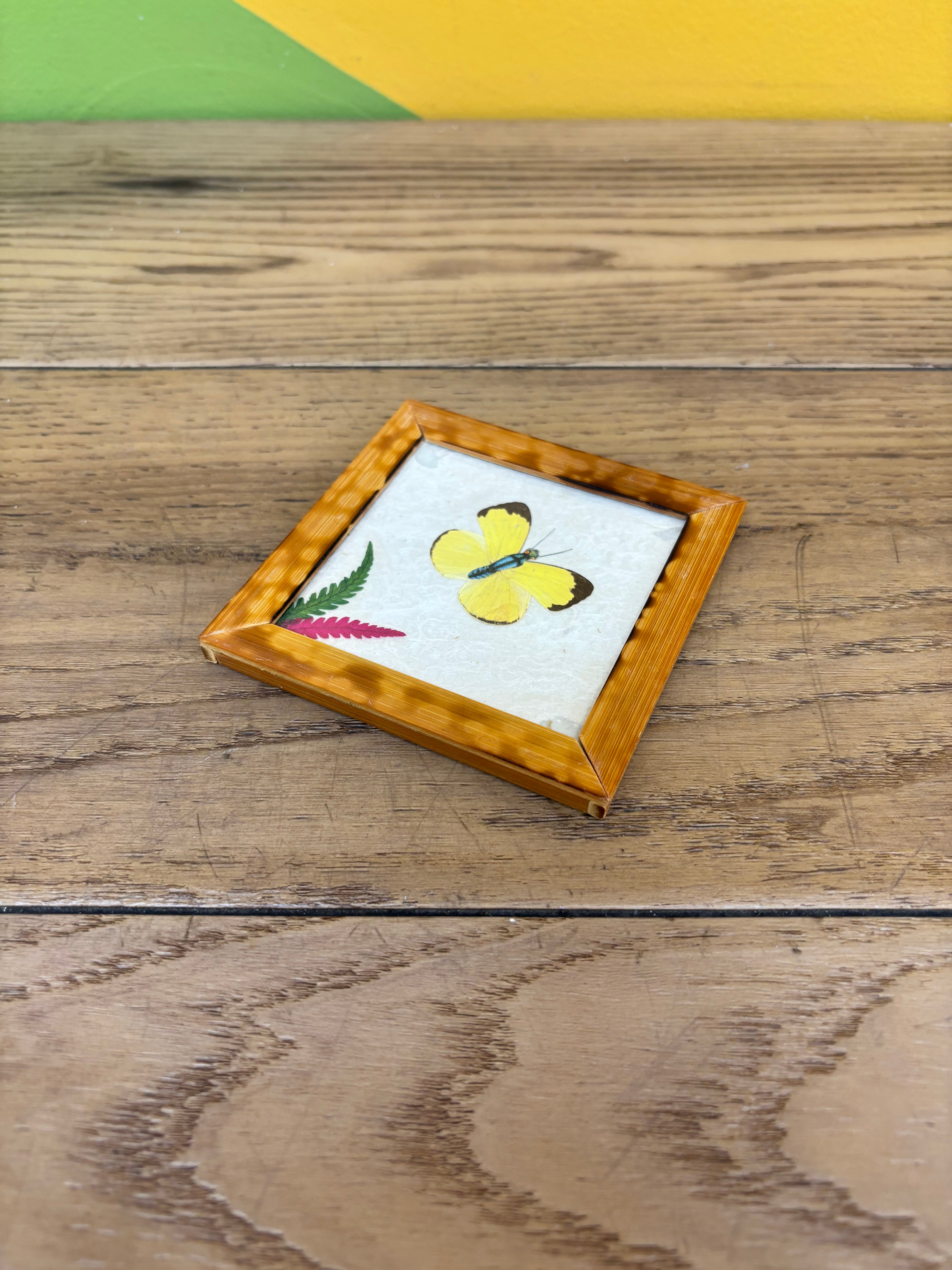 Set of Wood Butterfly Coasters