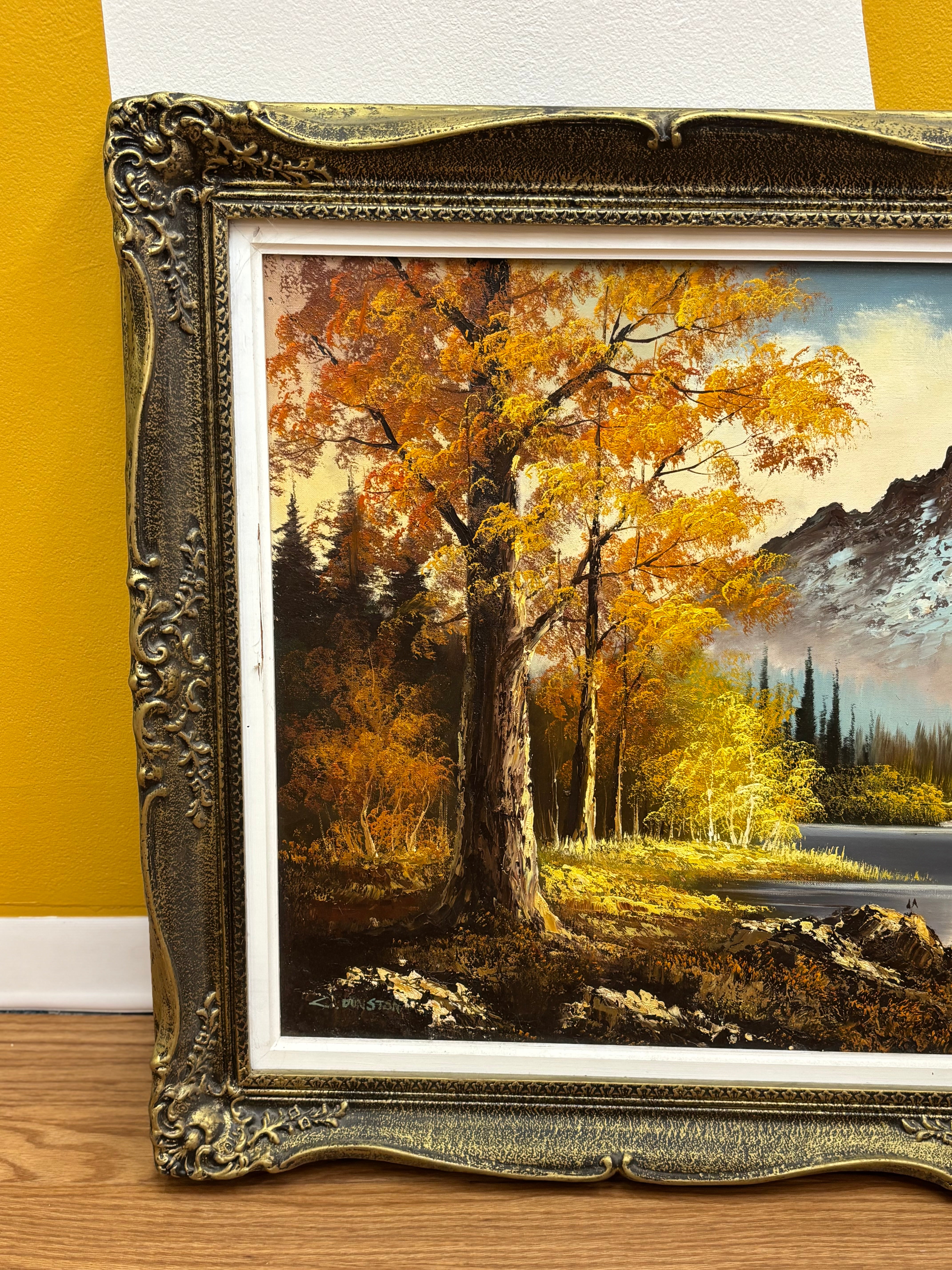 Large Framed Mountain Print