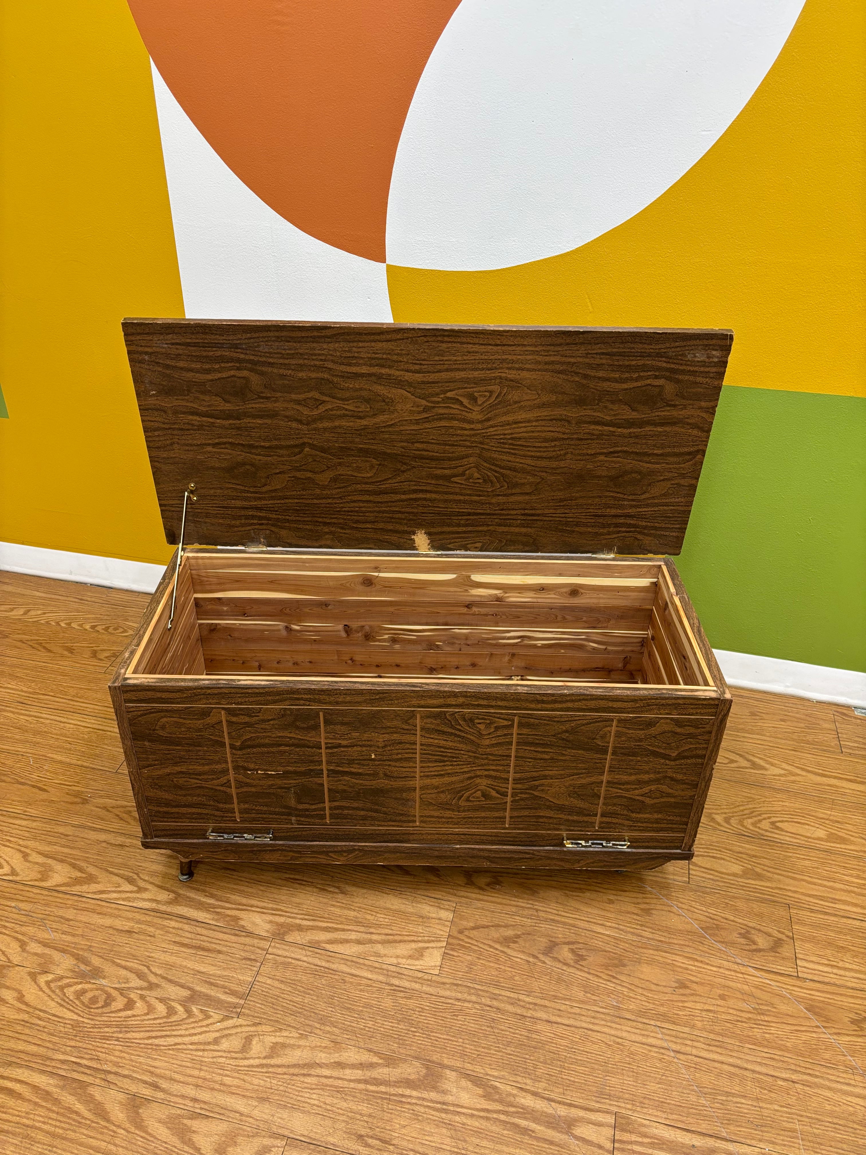 Brown Trunk