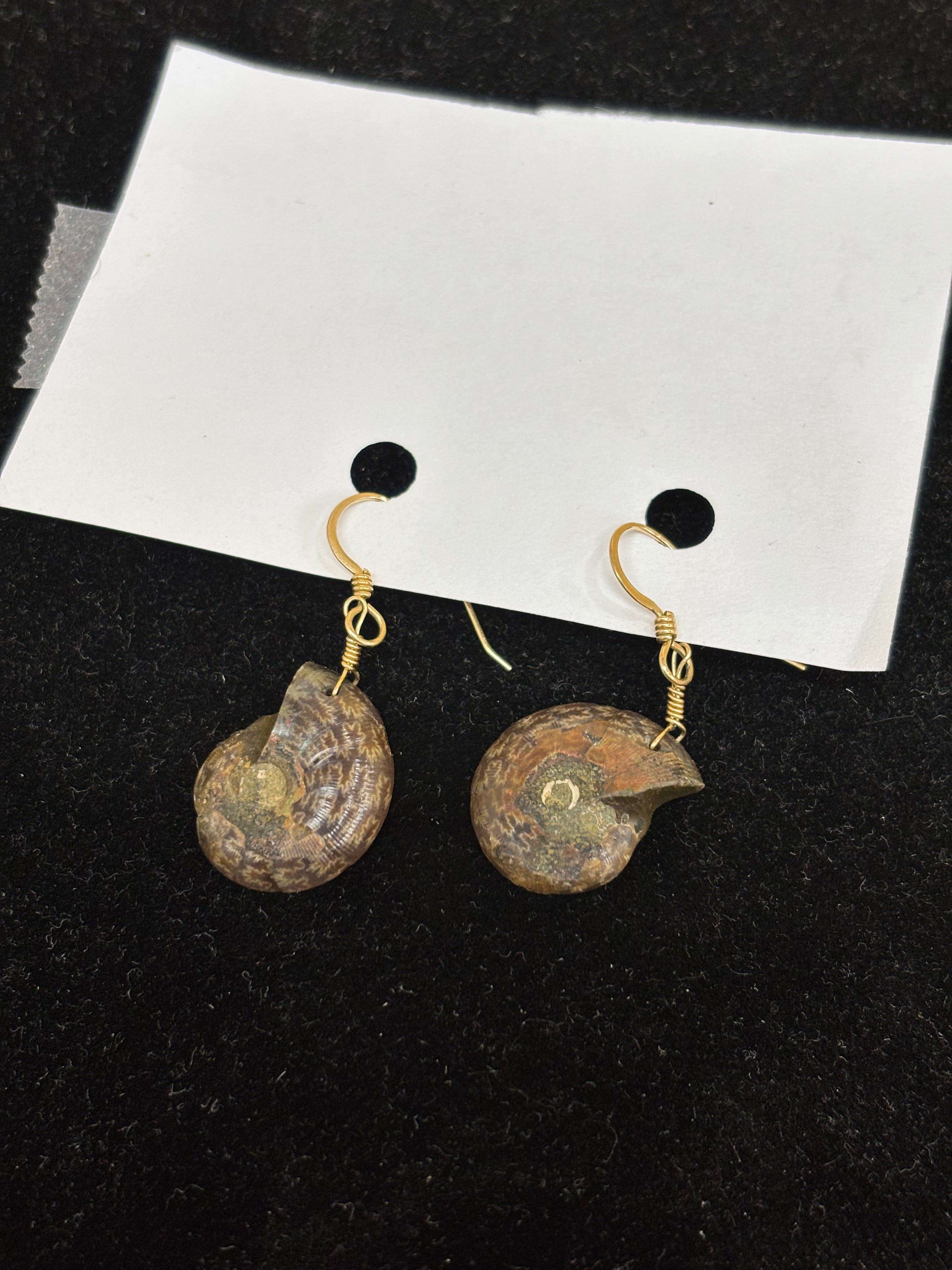 Fossil Slice Earrings
