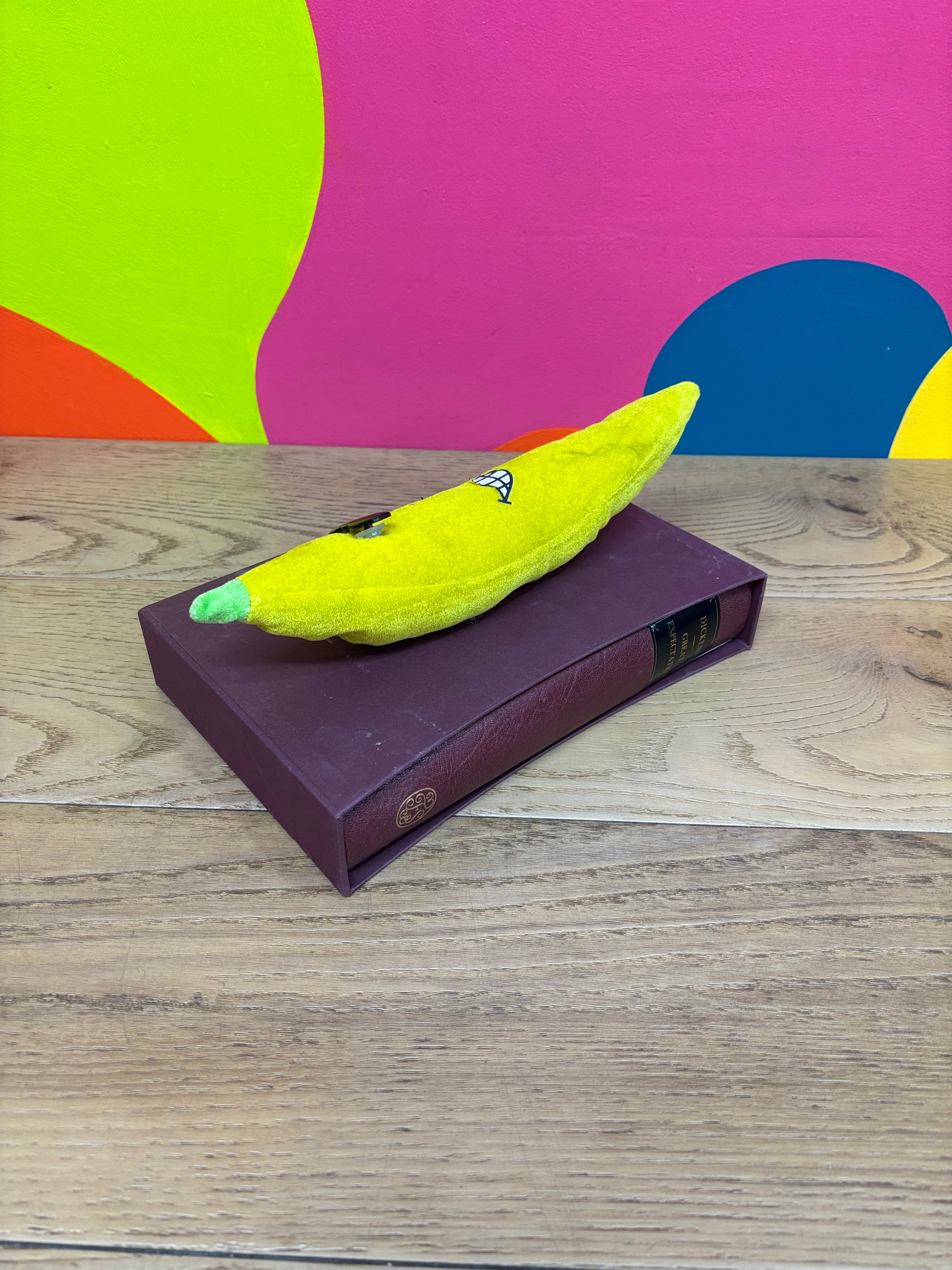 Great Expectations by Charles Dickens (Folio Society)