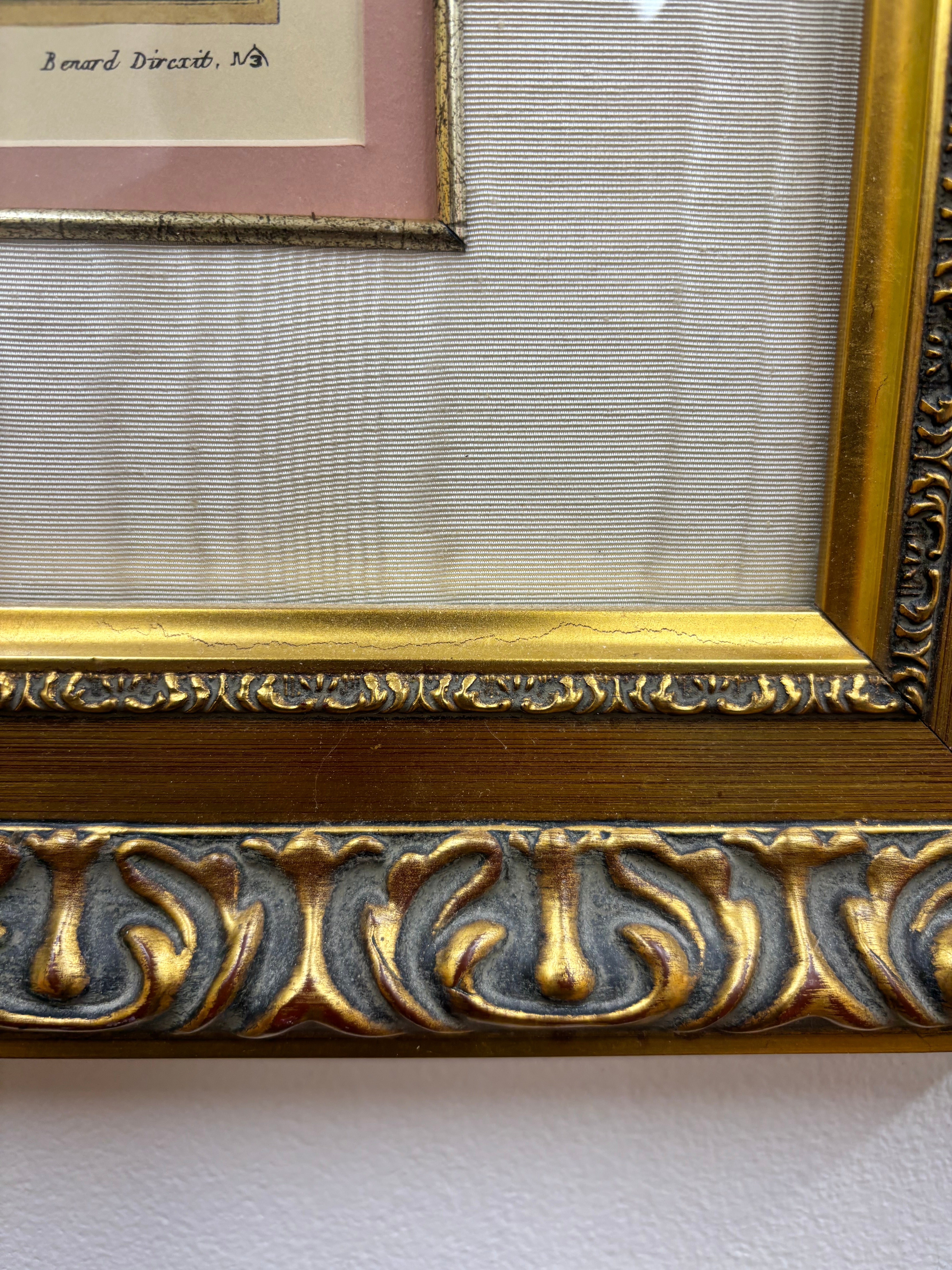 Gold Framed Botanical Print