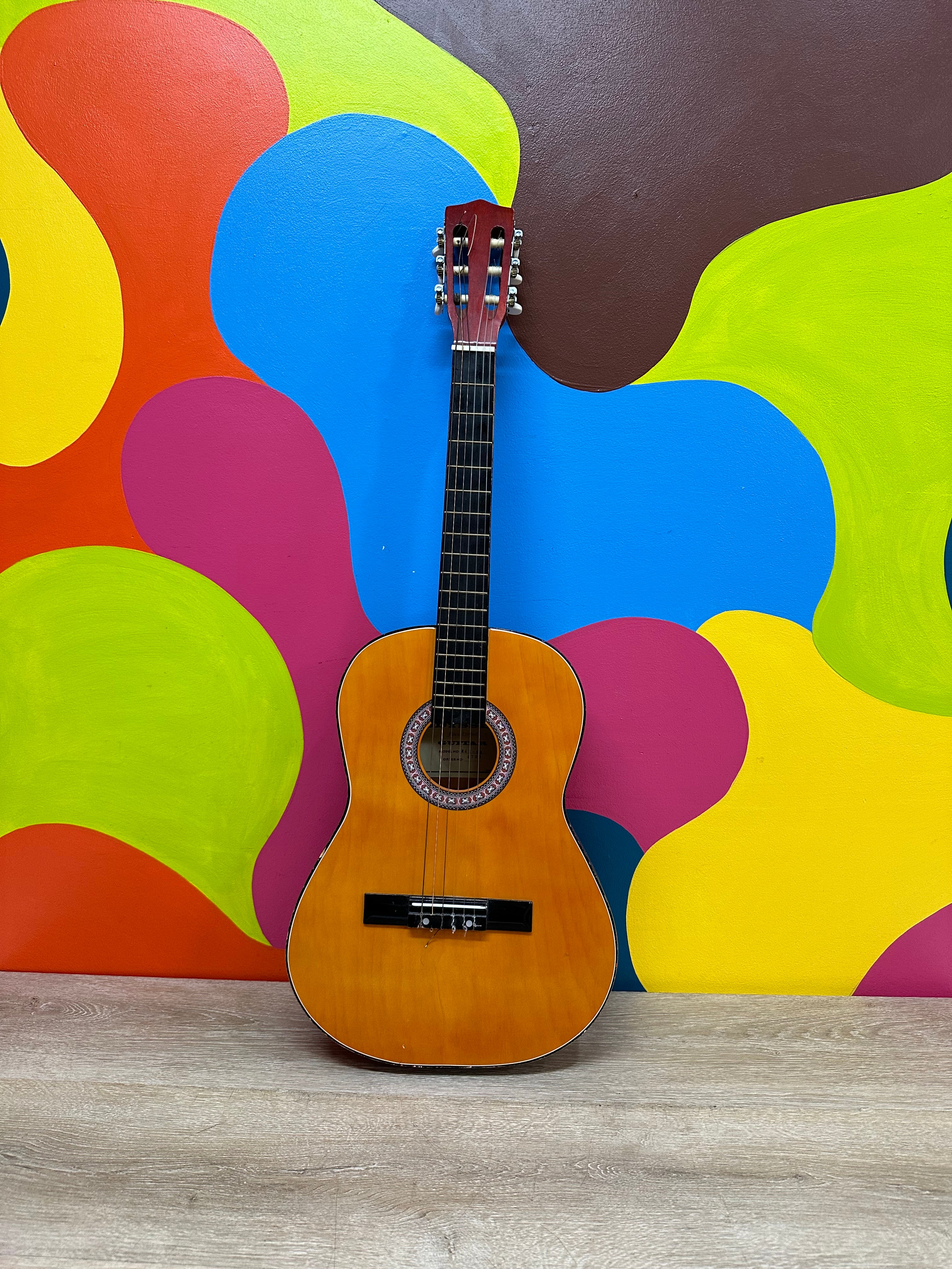 Odyssey Acoustic Guitar