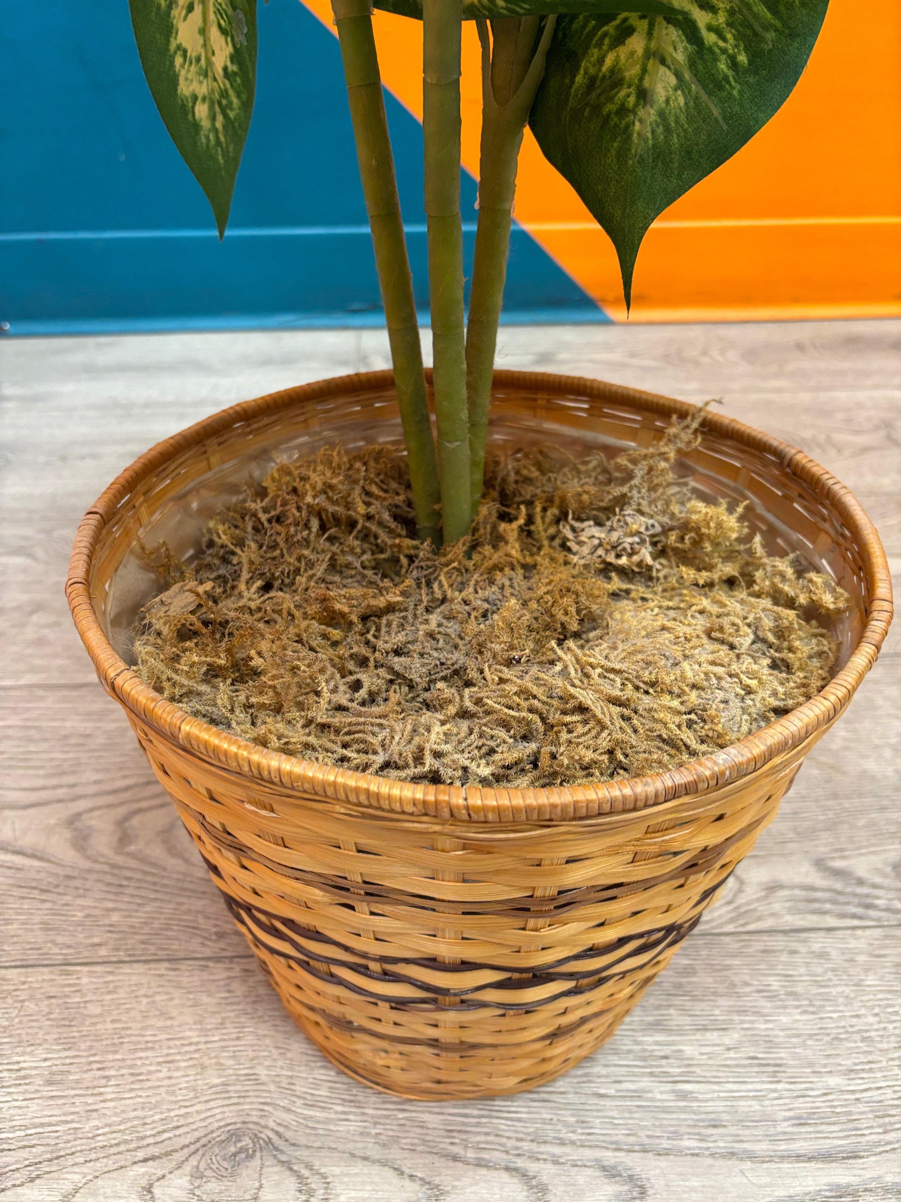 Taller Artificial Plant in Basket