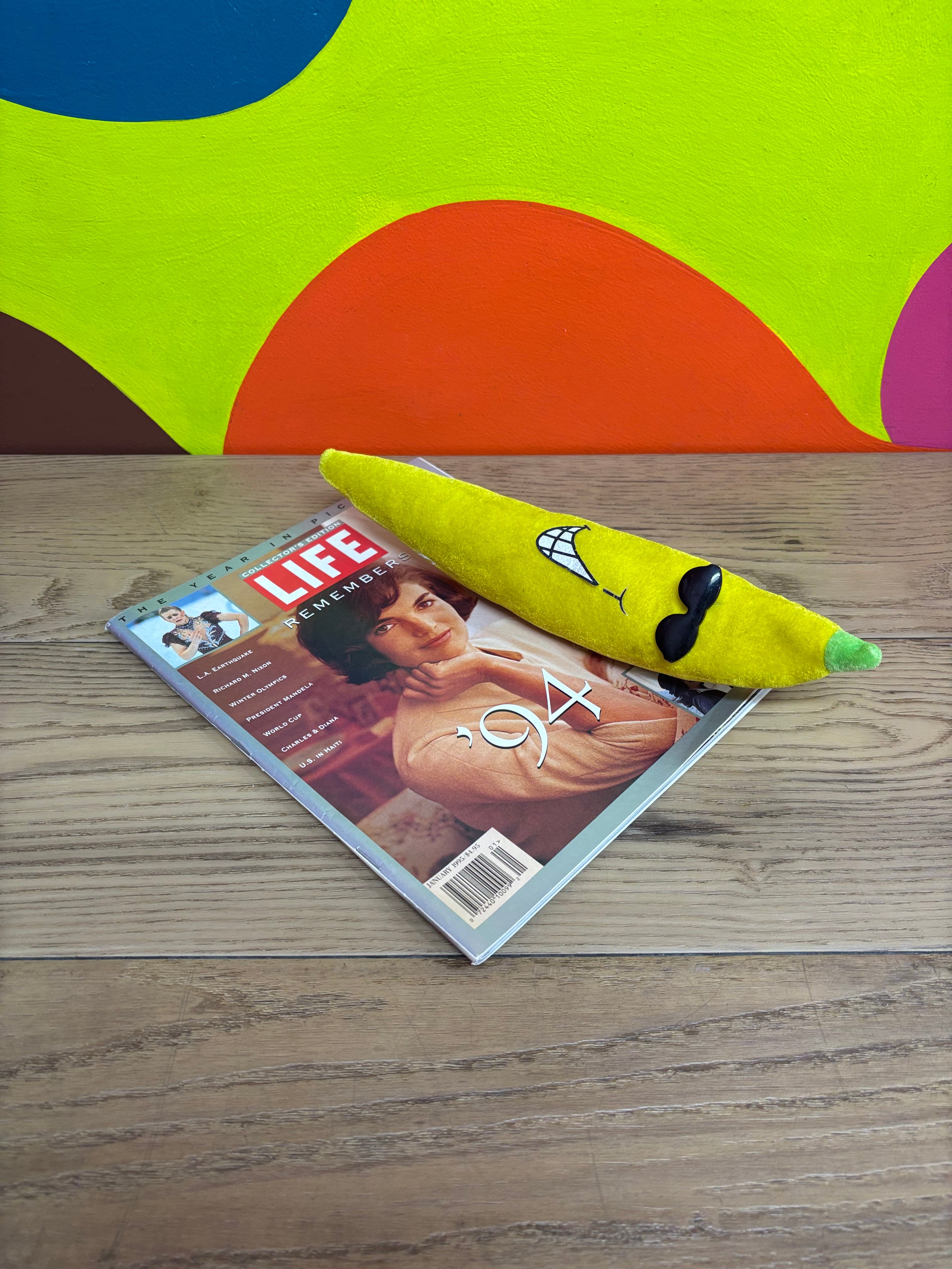 '94 LIFE Magazine Remembers