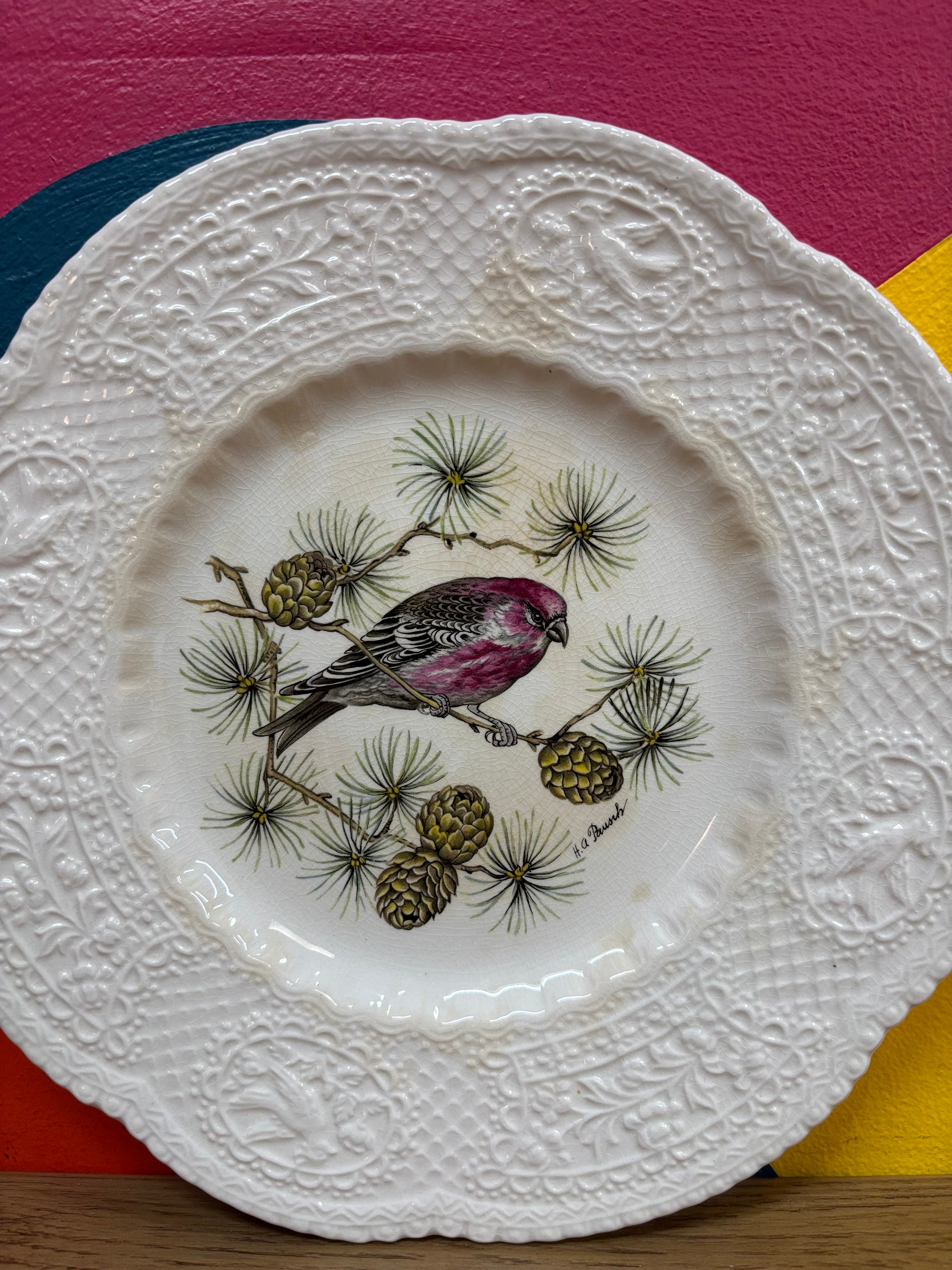 Royal Cauldon Decorative Plate - Pine Grosbeak