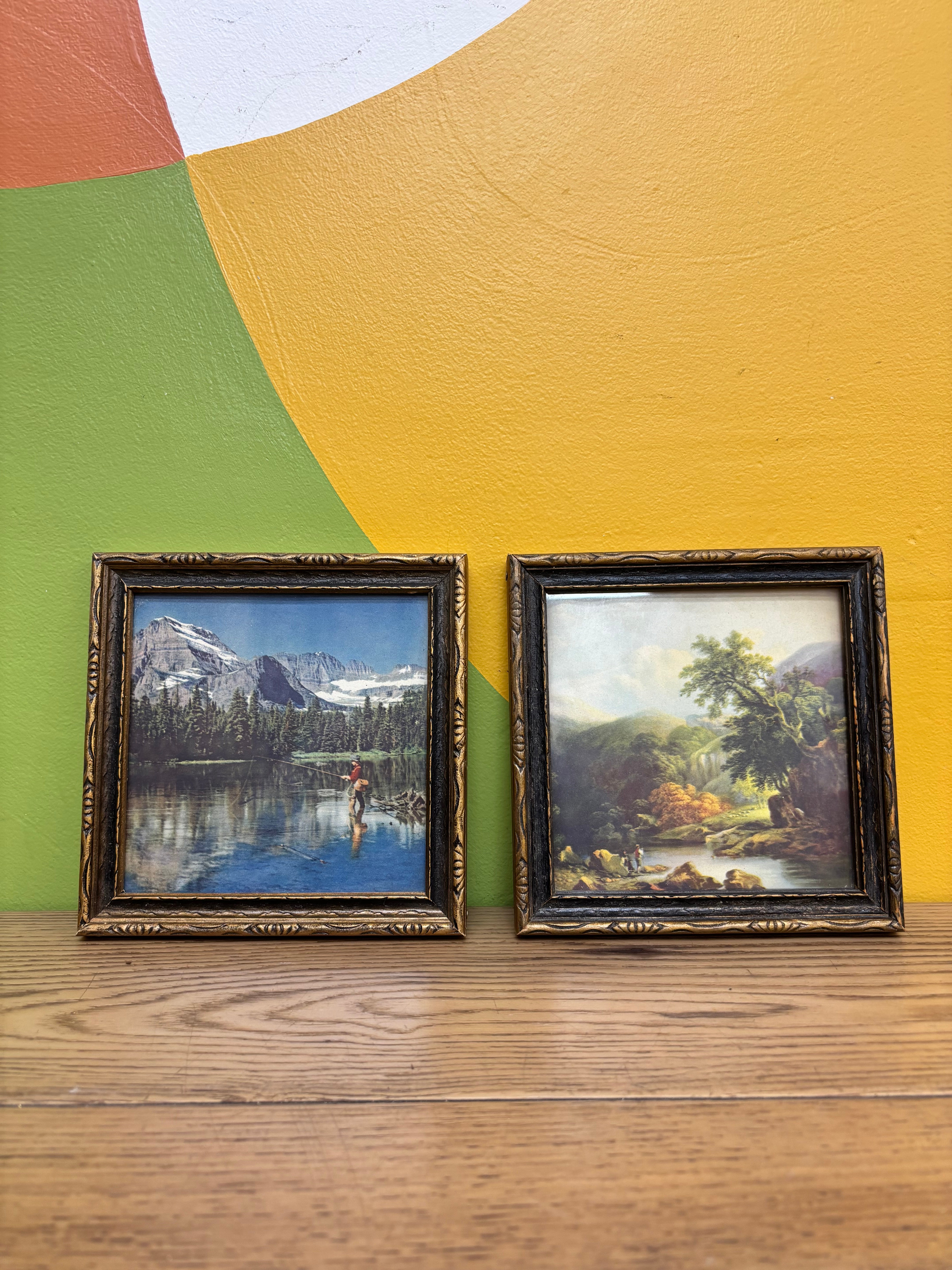 Set of 2 Framed Landscape Prints
