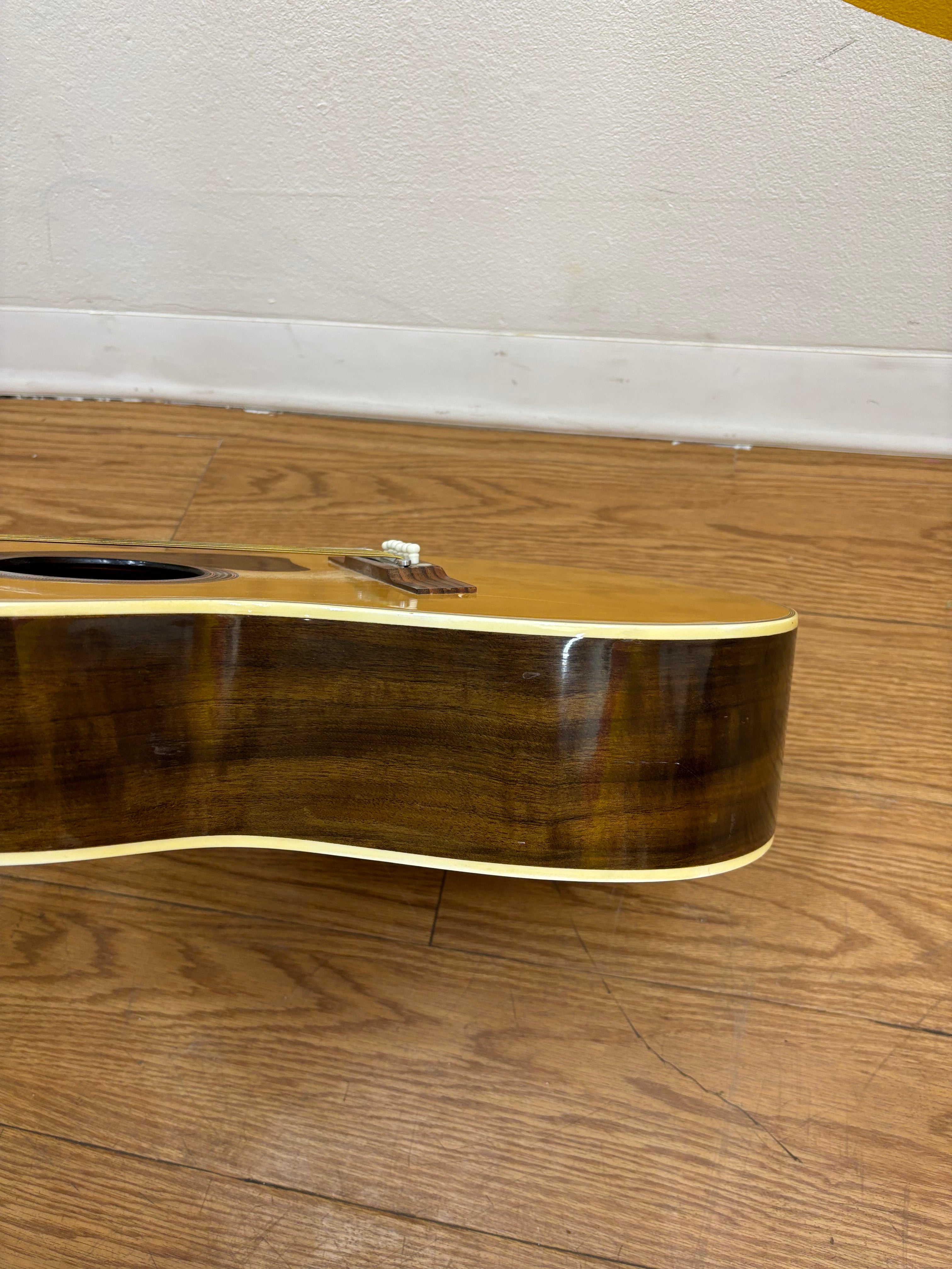 Pyramid Acoustic Guitar (Model - F742)