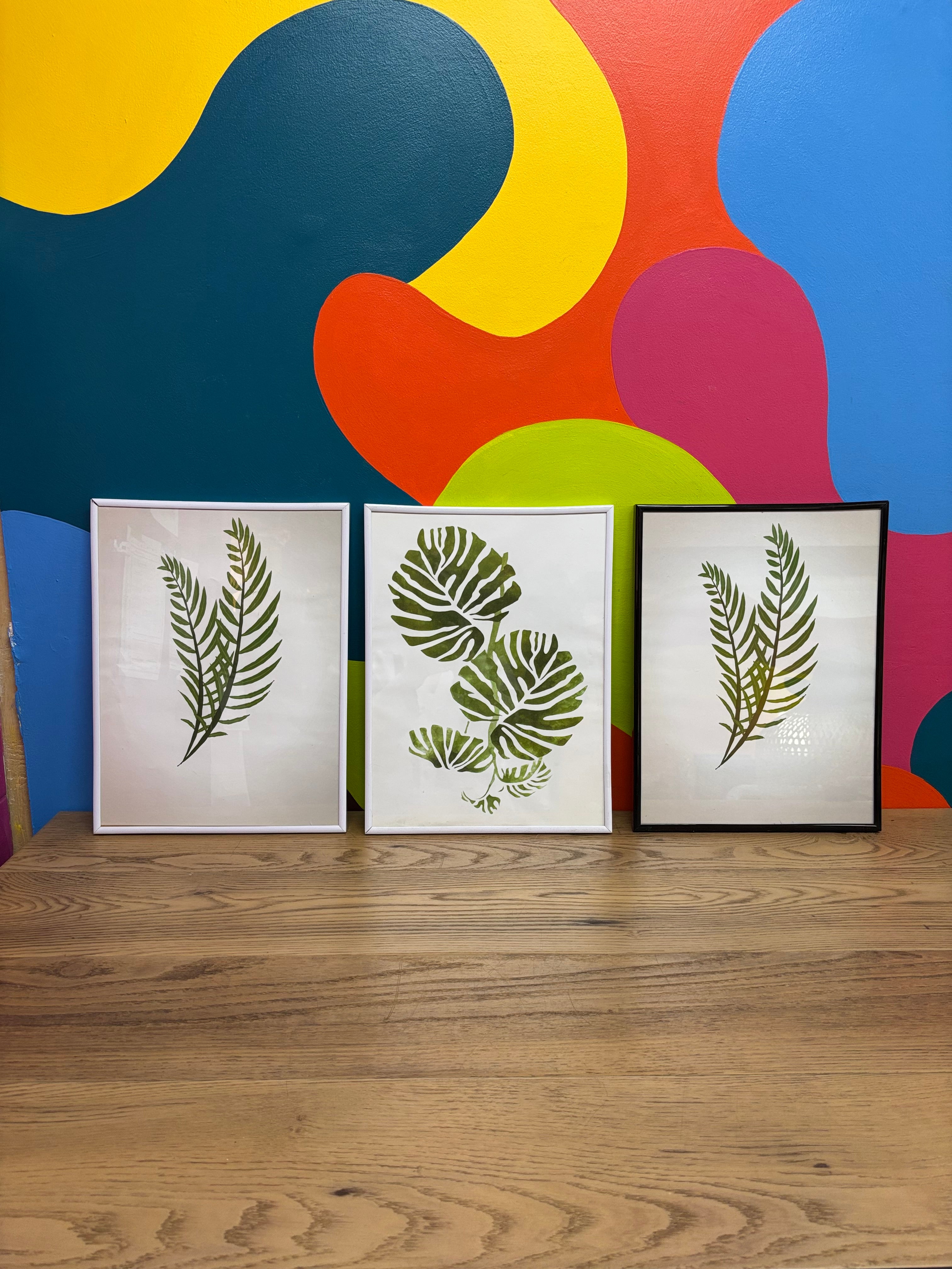 (3) Framed Plant Prints