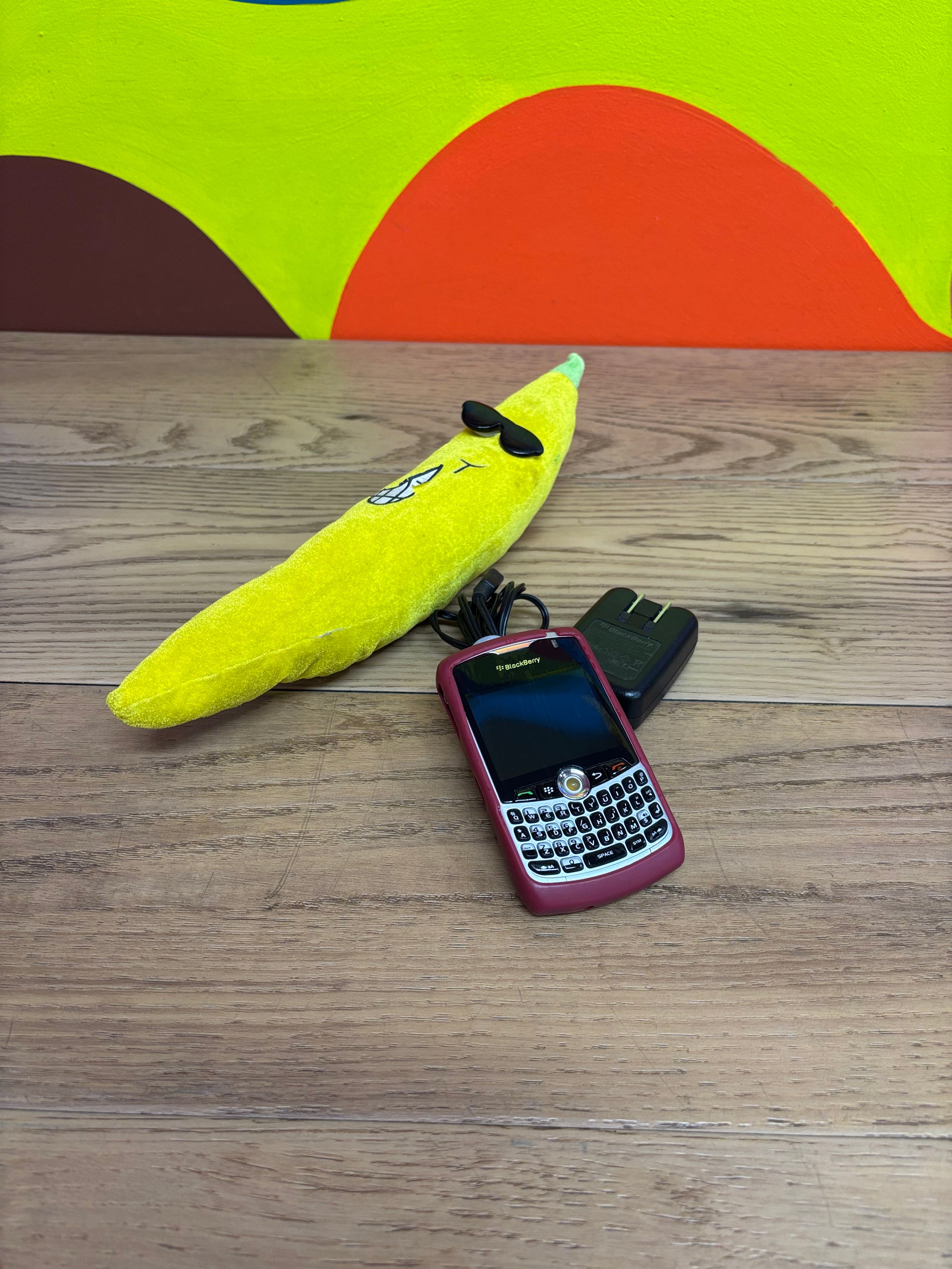 Blackberry Cell Phone