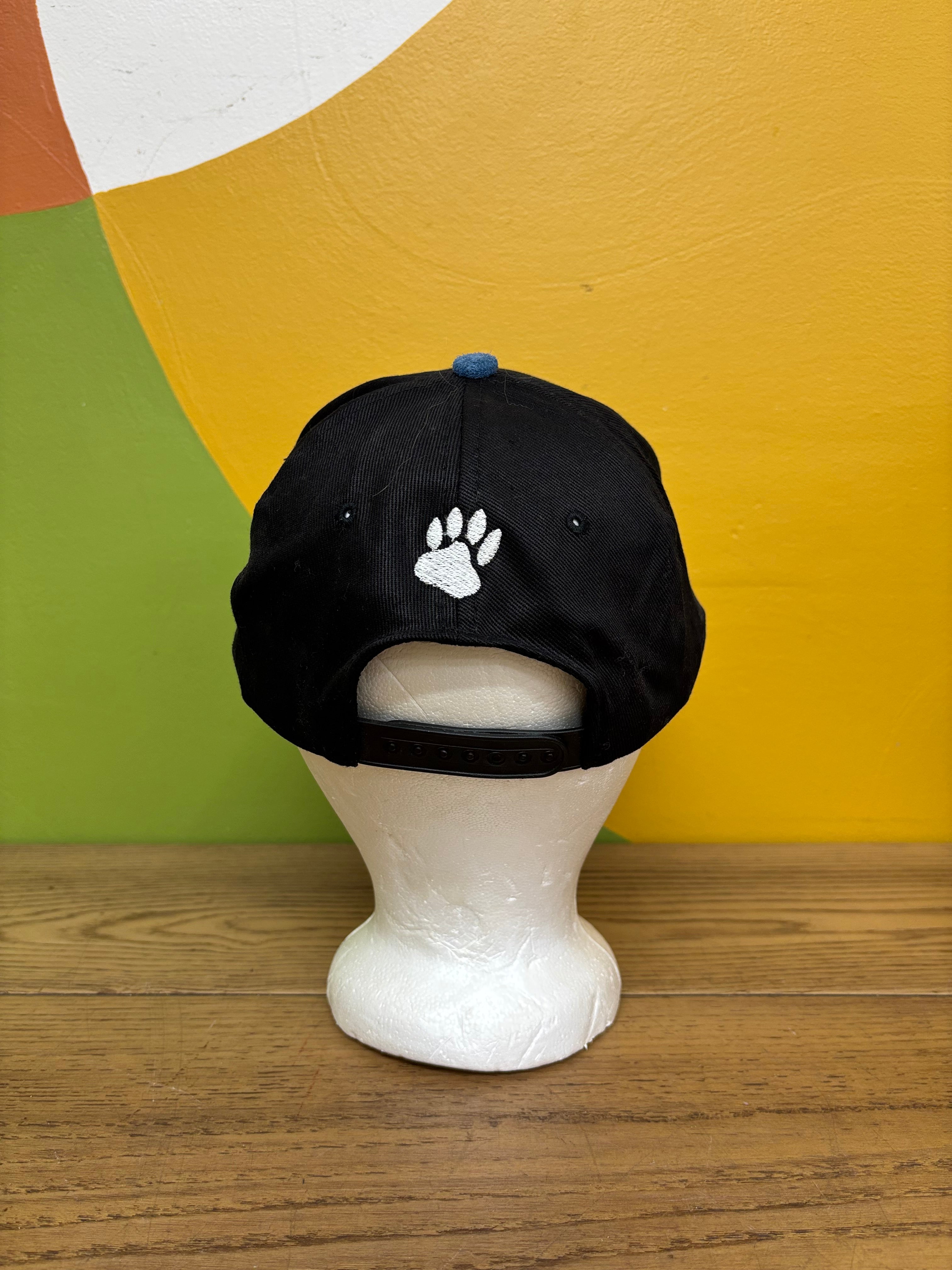 100.3 The Bear SnapBack