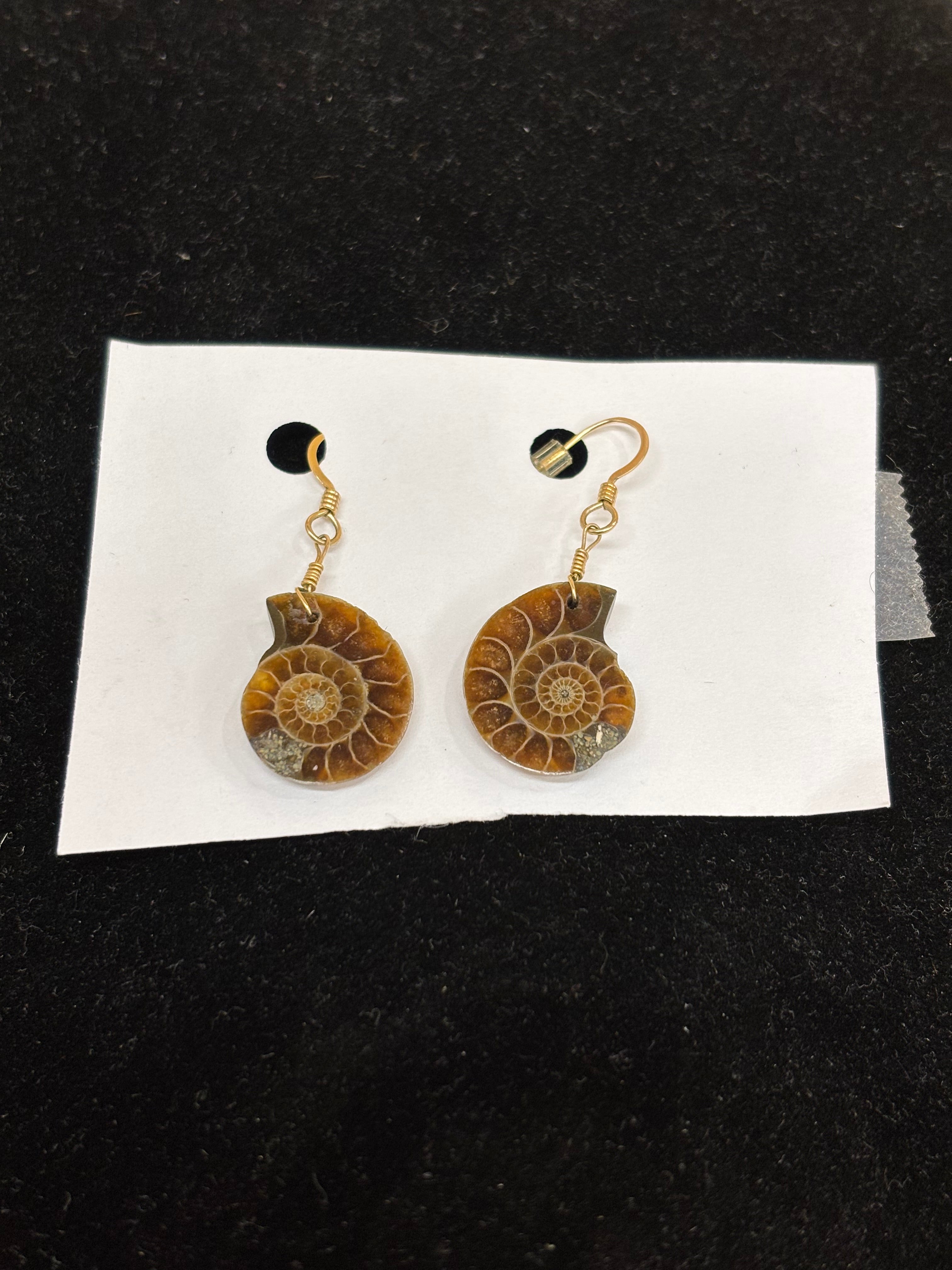 Fossil Slice Earrings