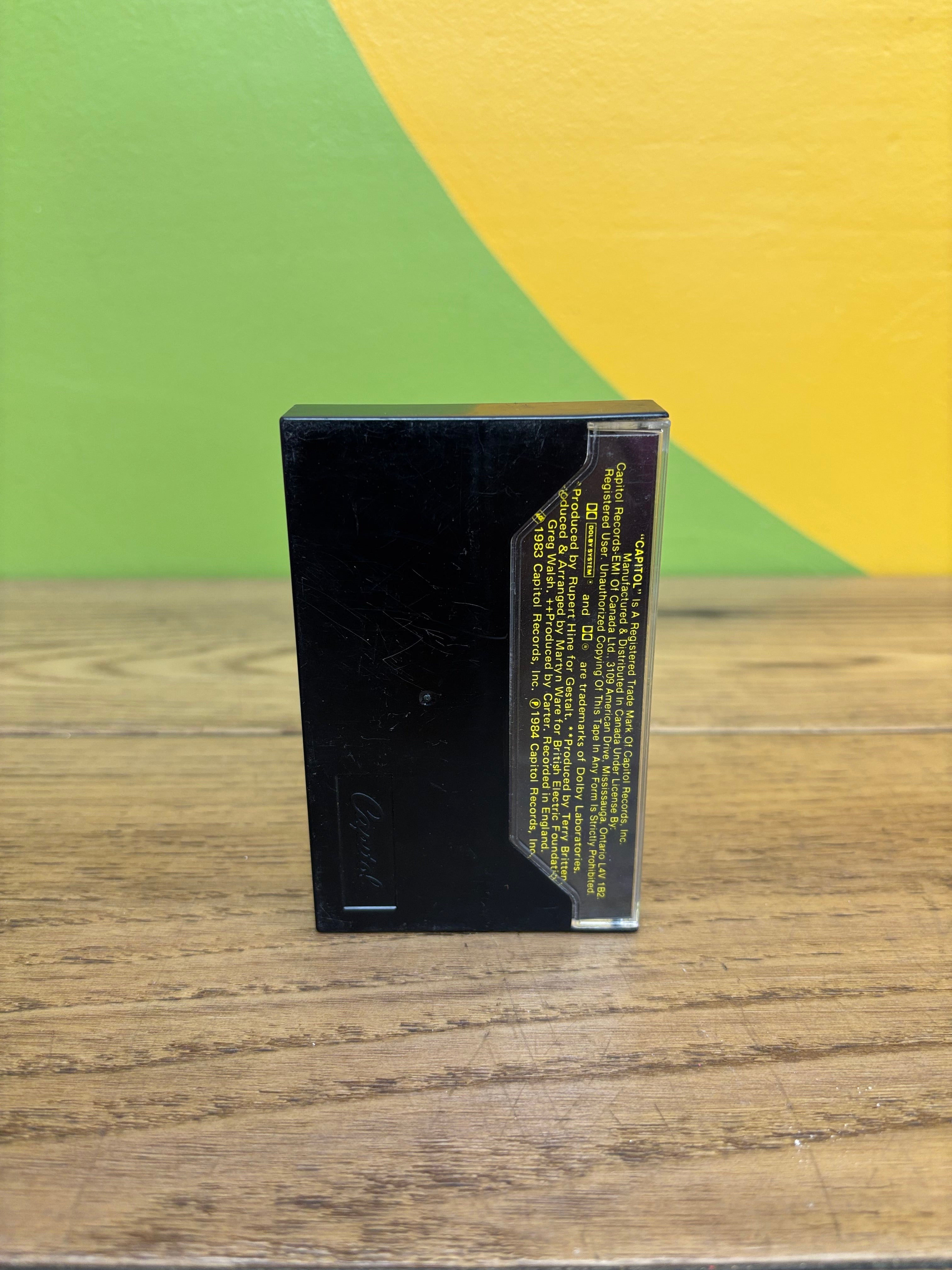 Tina Turner Cassette - Private Dancer