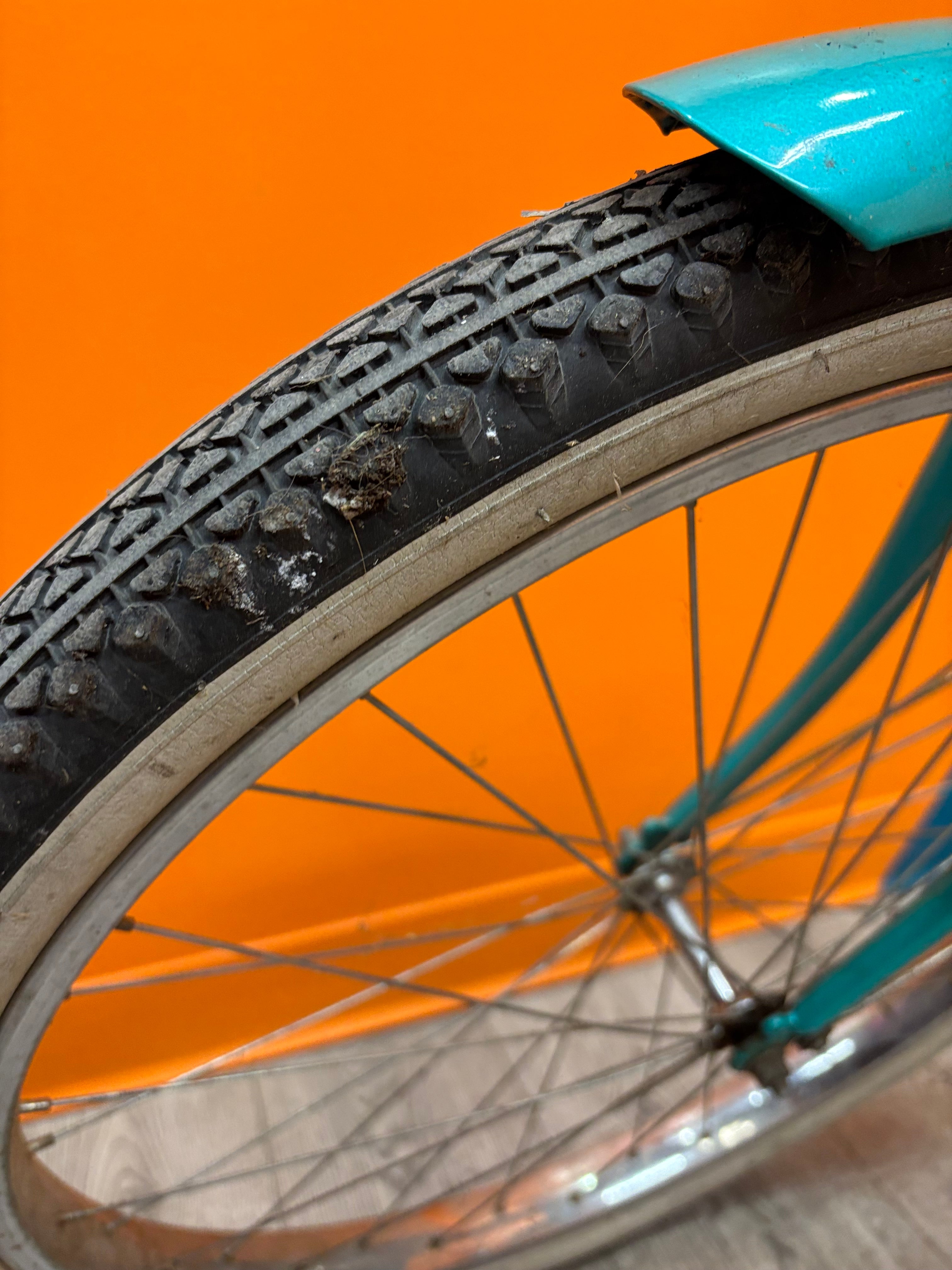 Turquoise Cruiser Collection Pro Bicycle
