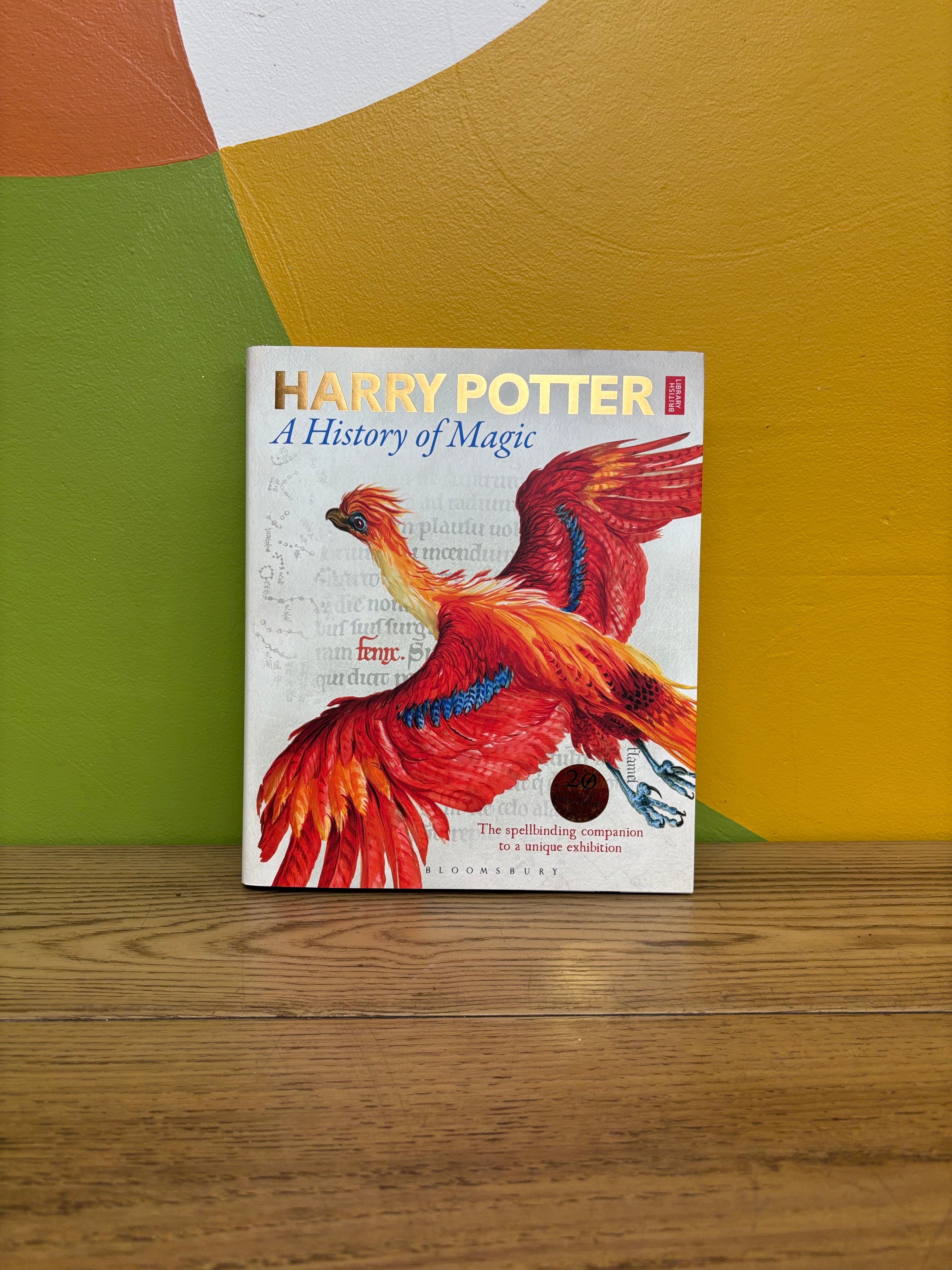 Harry Potter: A History of Magic Book