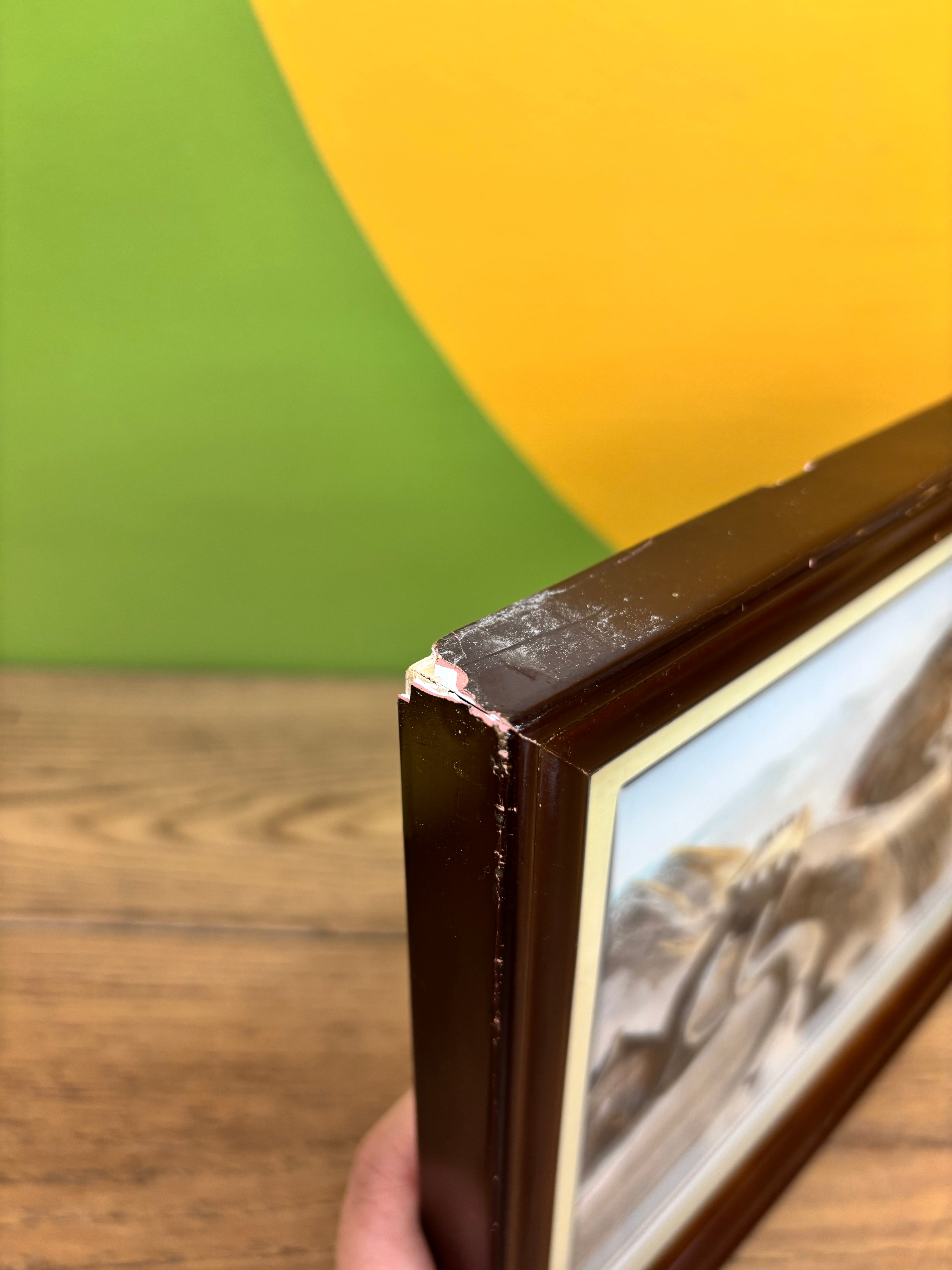 Framed Feather Artwork