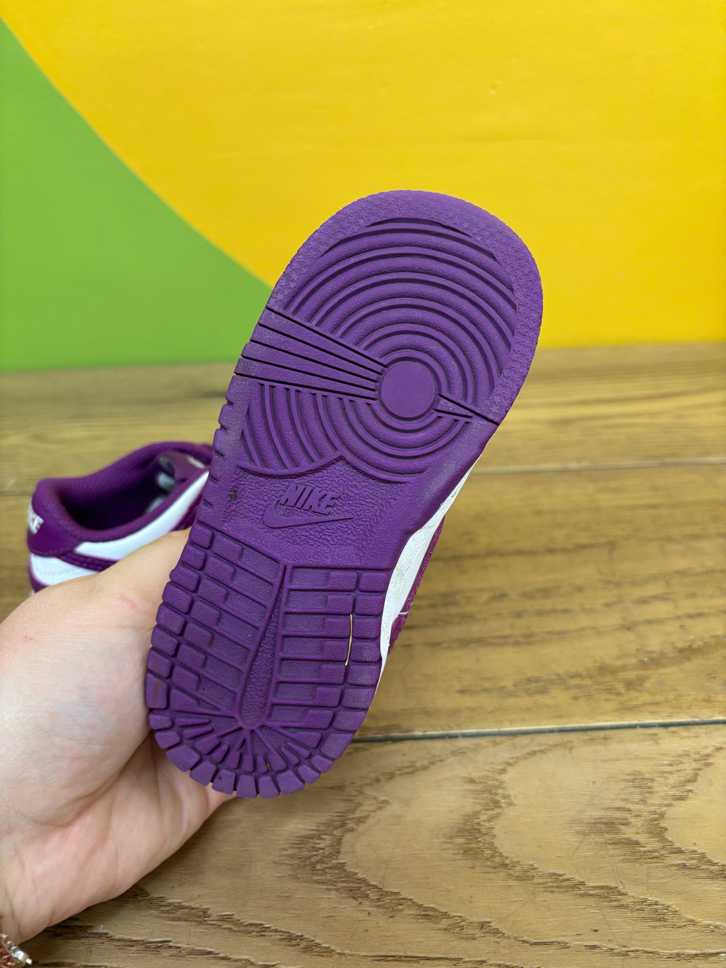 Toddler Nike Low Dunk Shoes - Size 8C