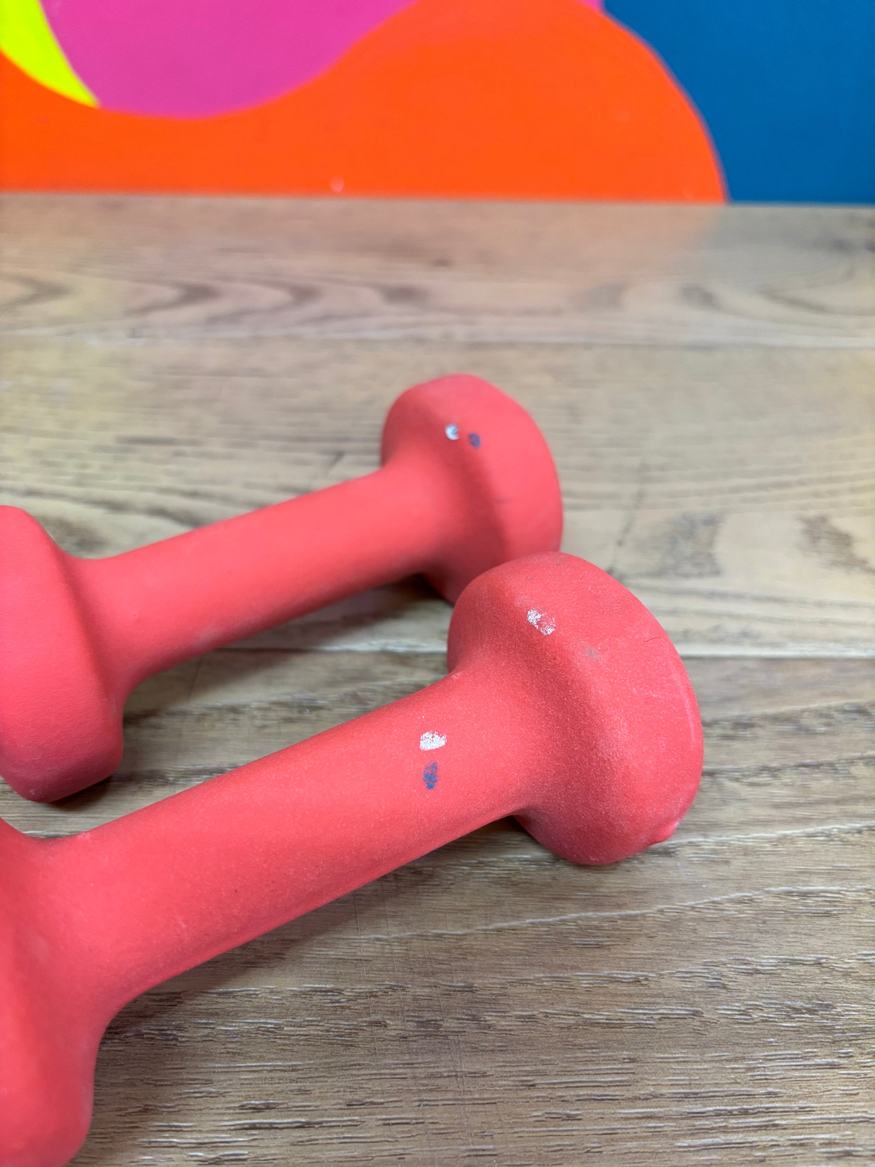 Set of 2 Pound Weights