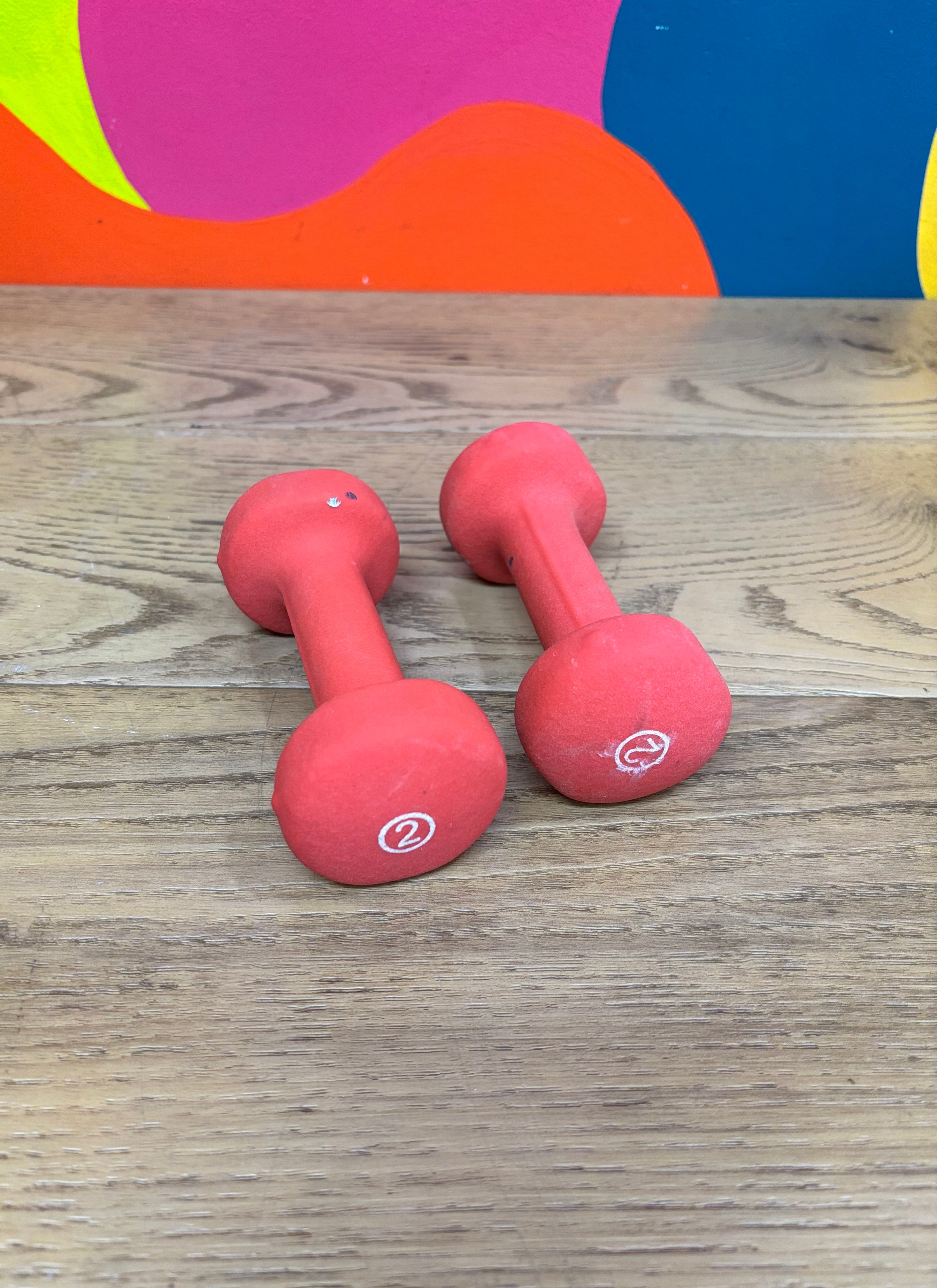 Set of 2 Pound Weights