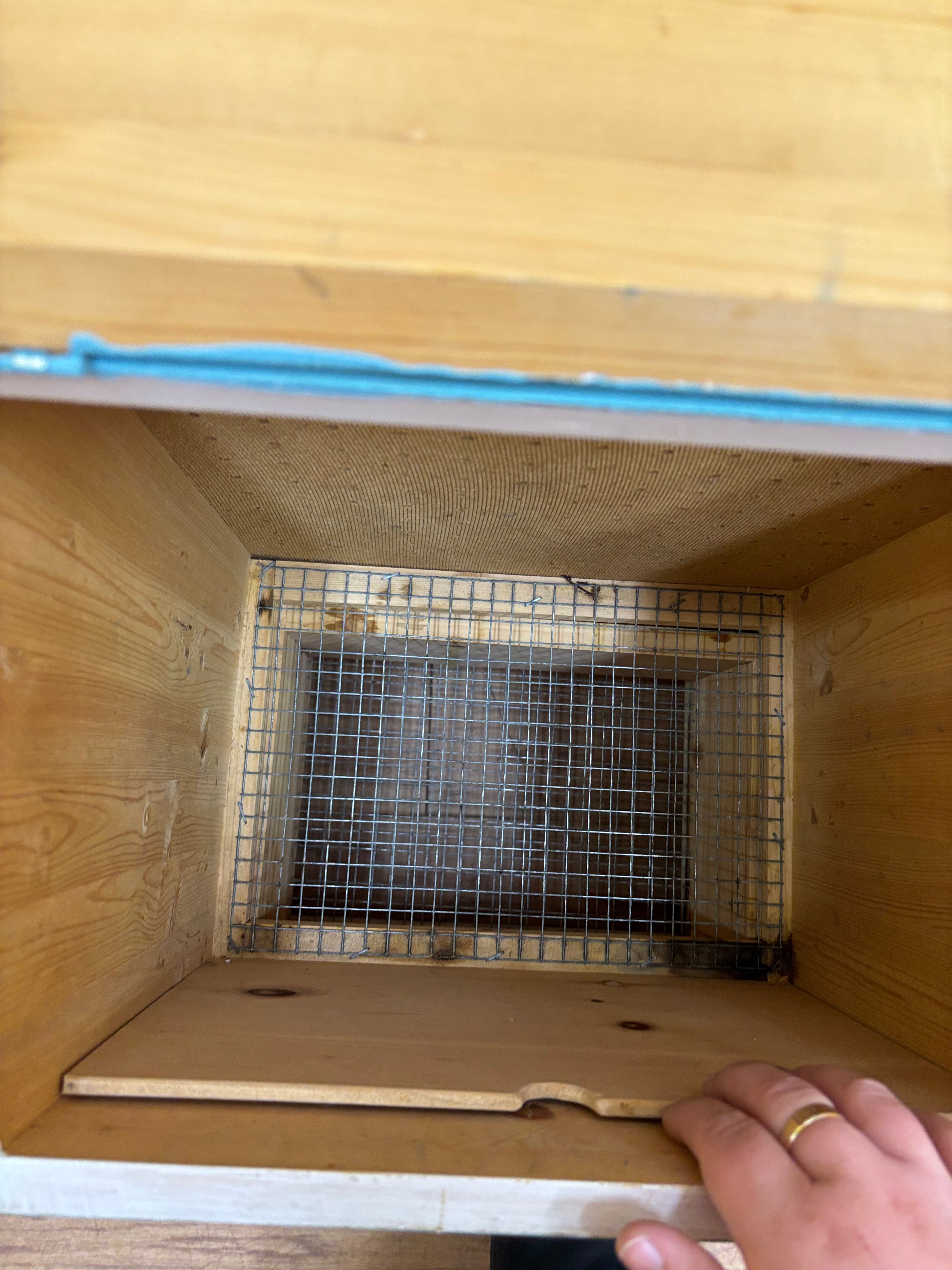 Blue Wooden Onion/Potato Storage