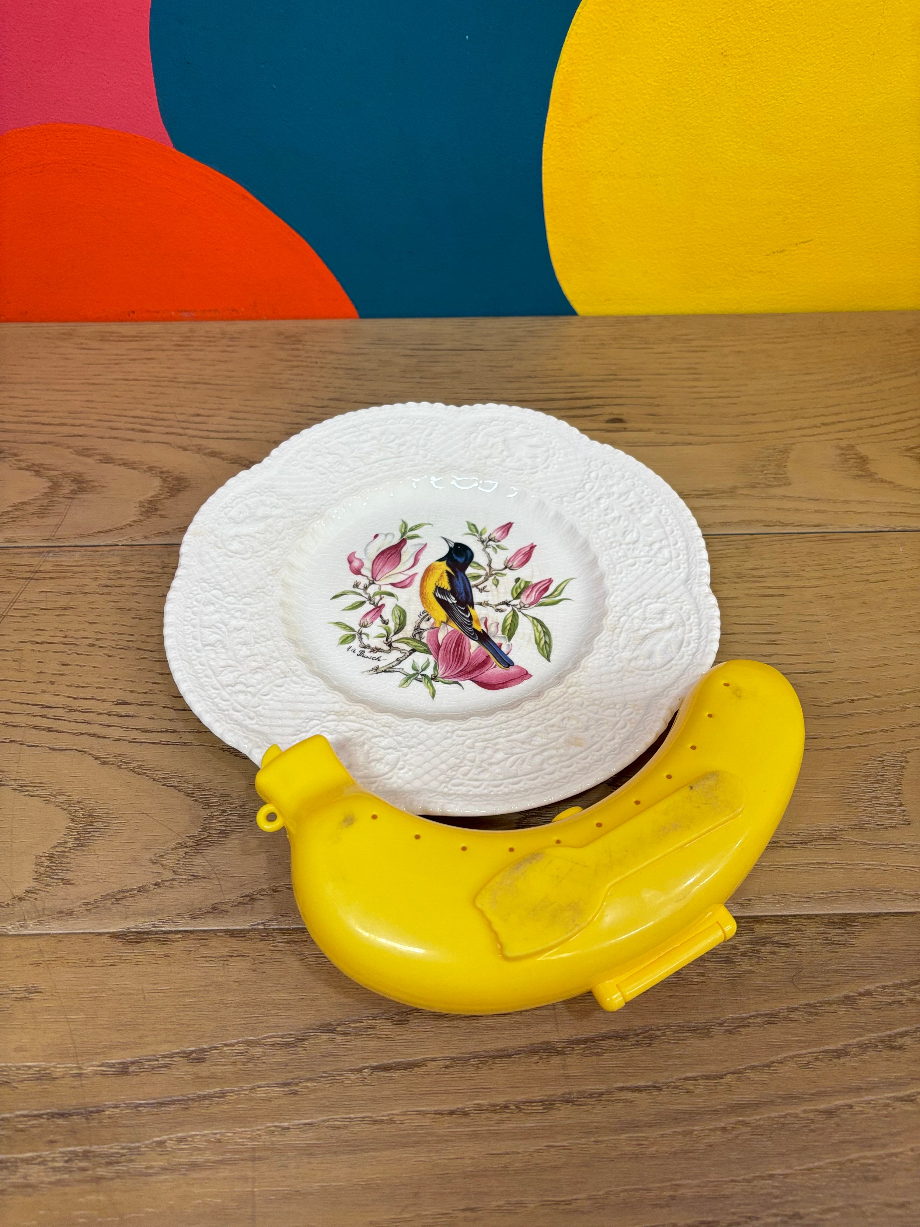 Royal Cauldon Decorative Plate - Baltimore Oriole