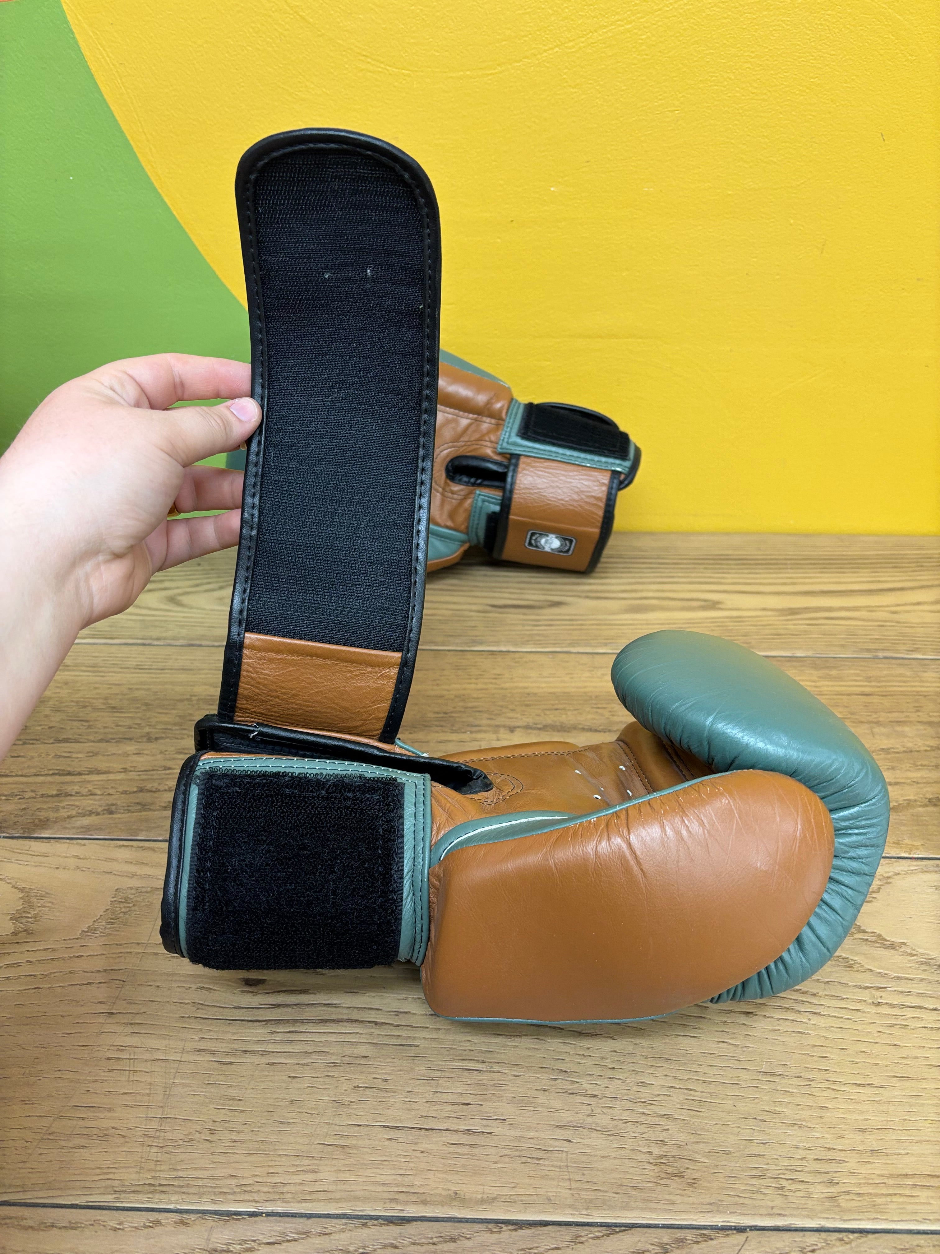 Twins Special Boxing Gloves