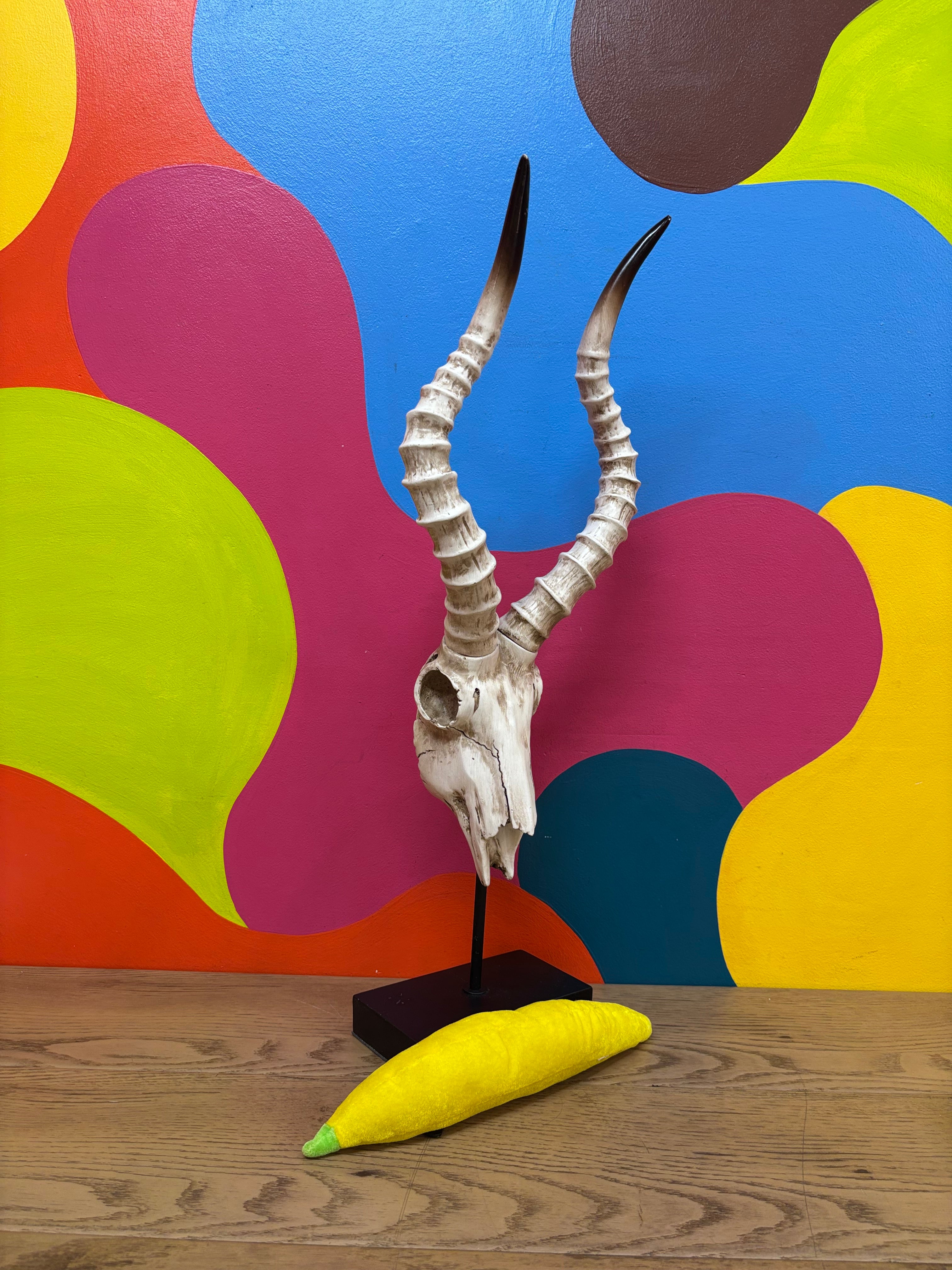Long Horn Skull Decor