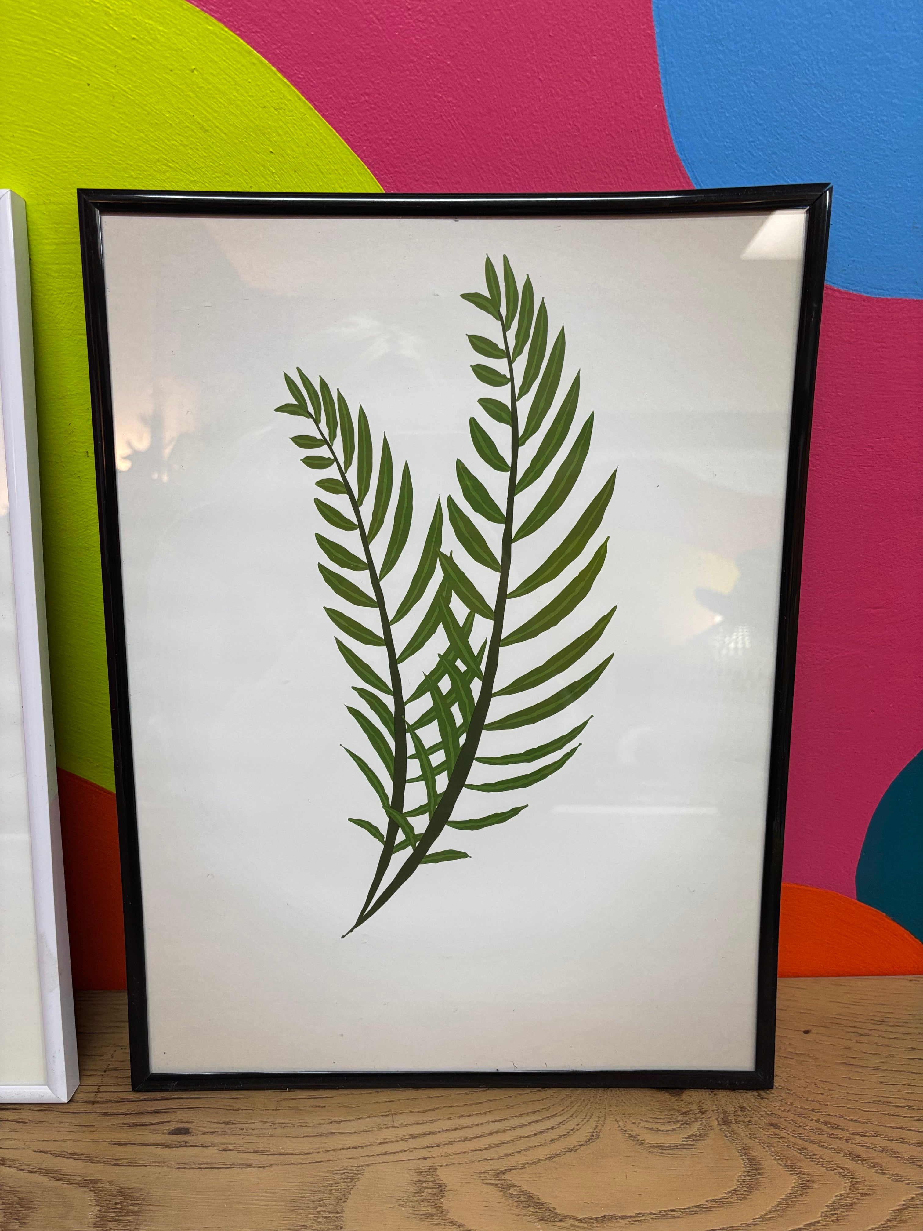 (3) Framed Plant Prints