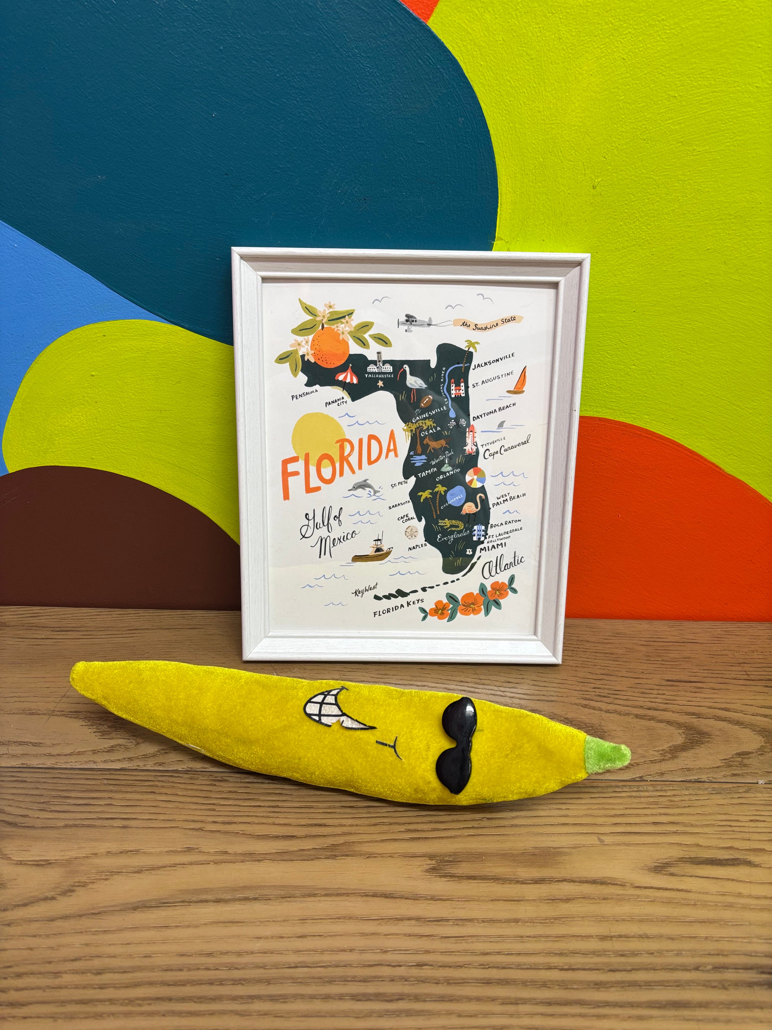 White Framed Print - Florida