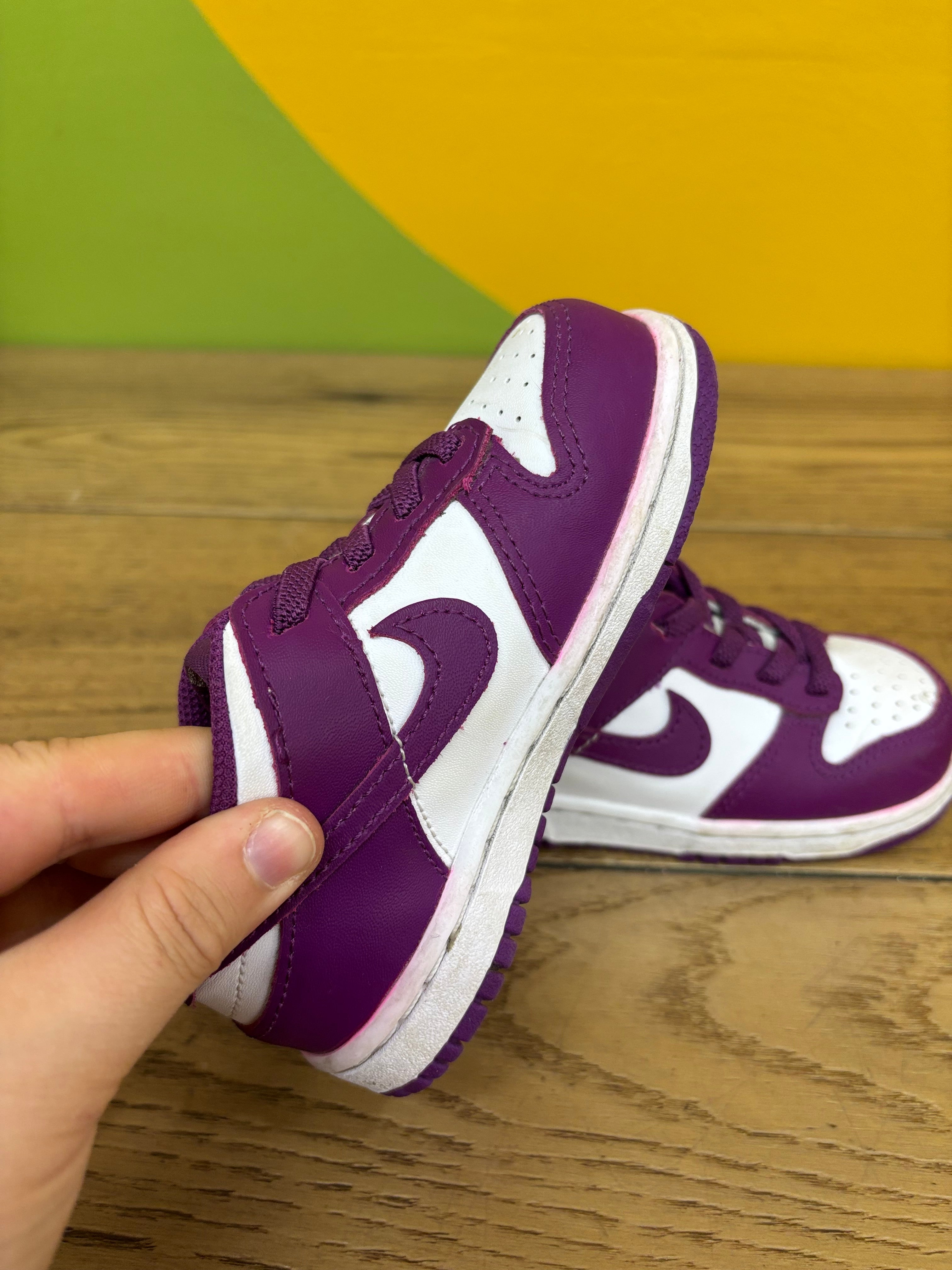 Toddler Nike Low Dunk Shoes - Size 8C