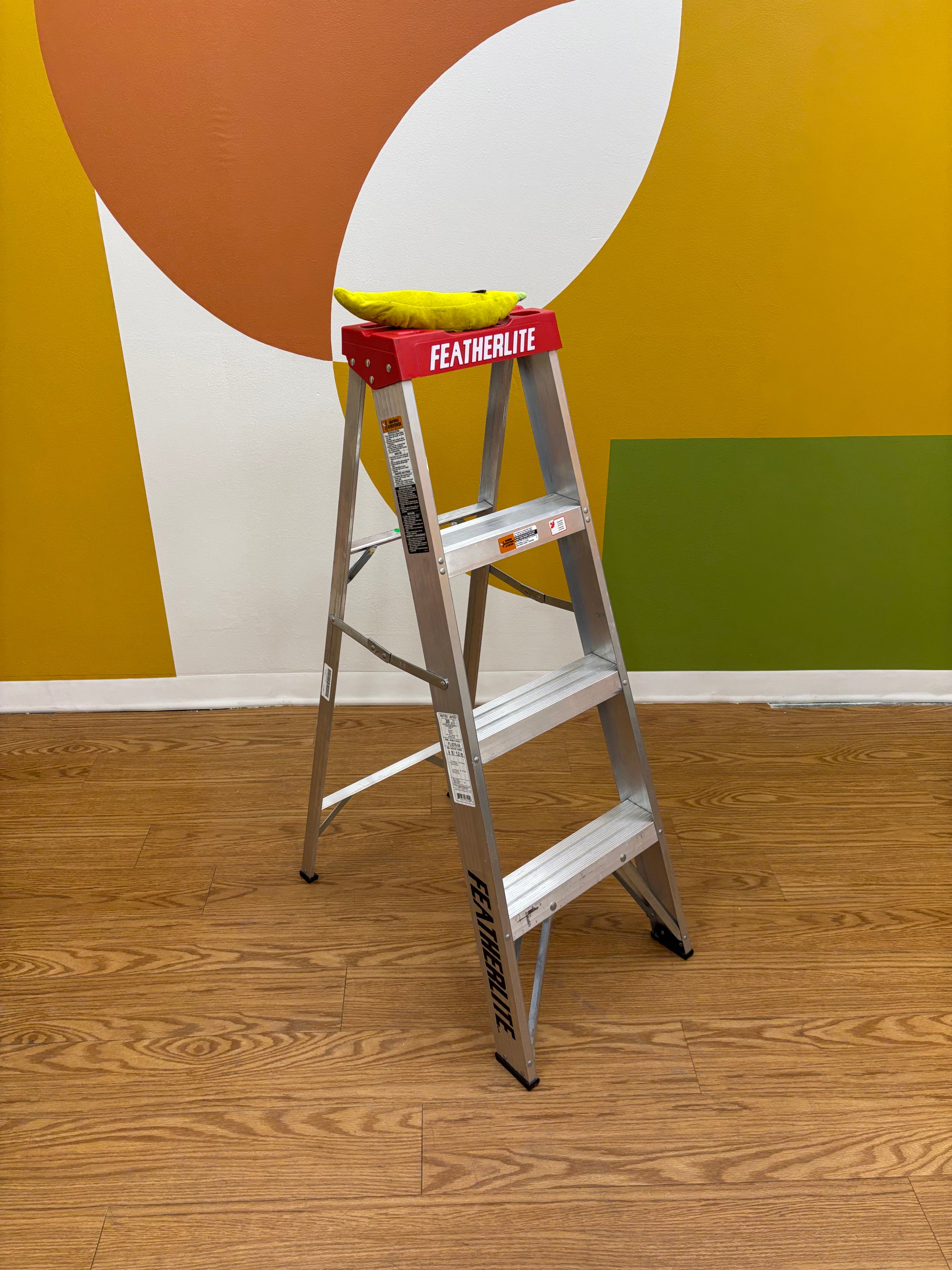 Featherlite 4ft Aluminum Ladder