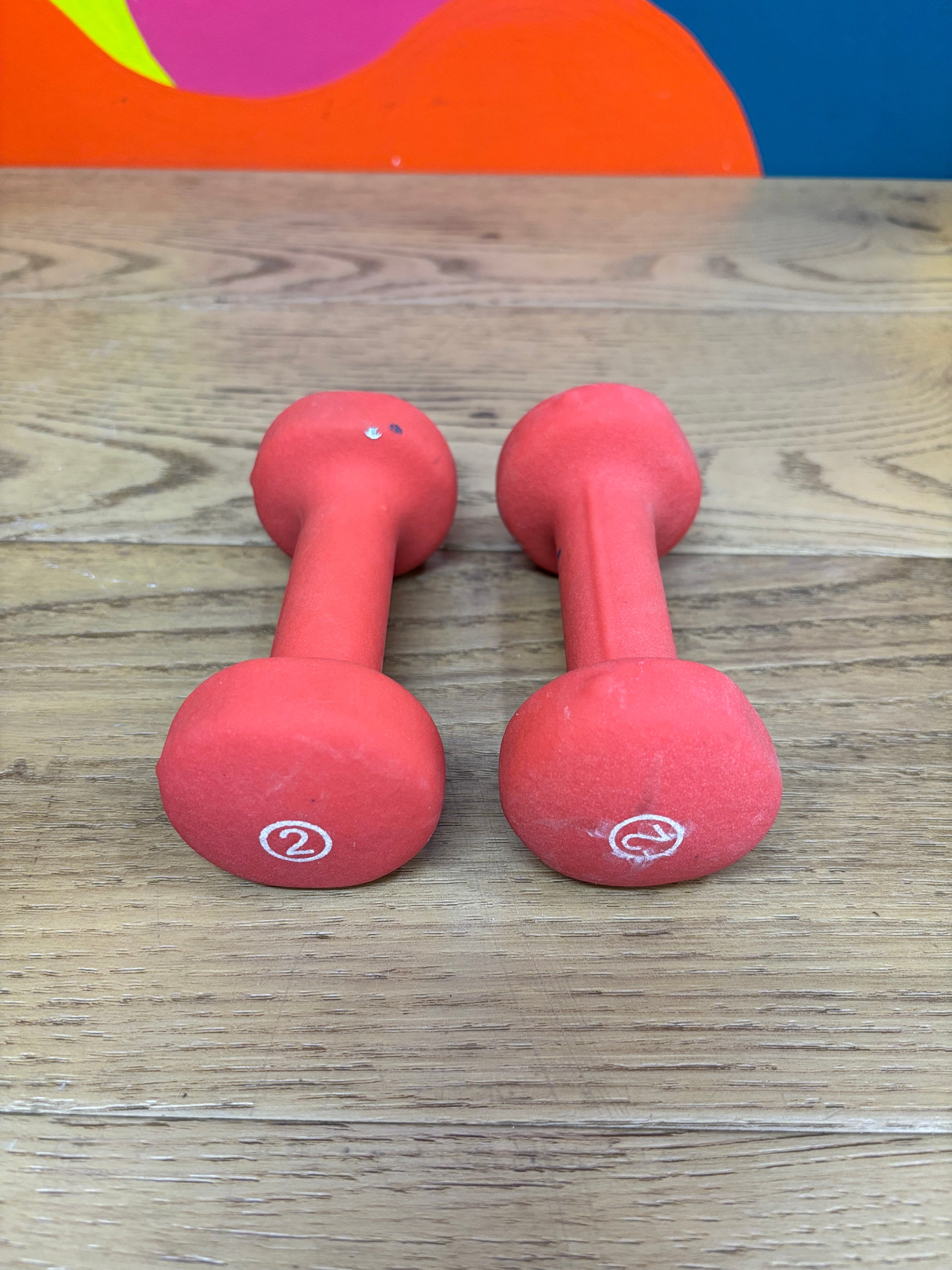 Set of 2 Pound Weights