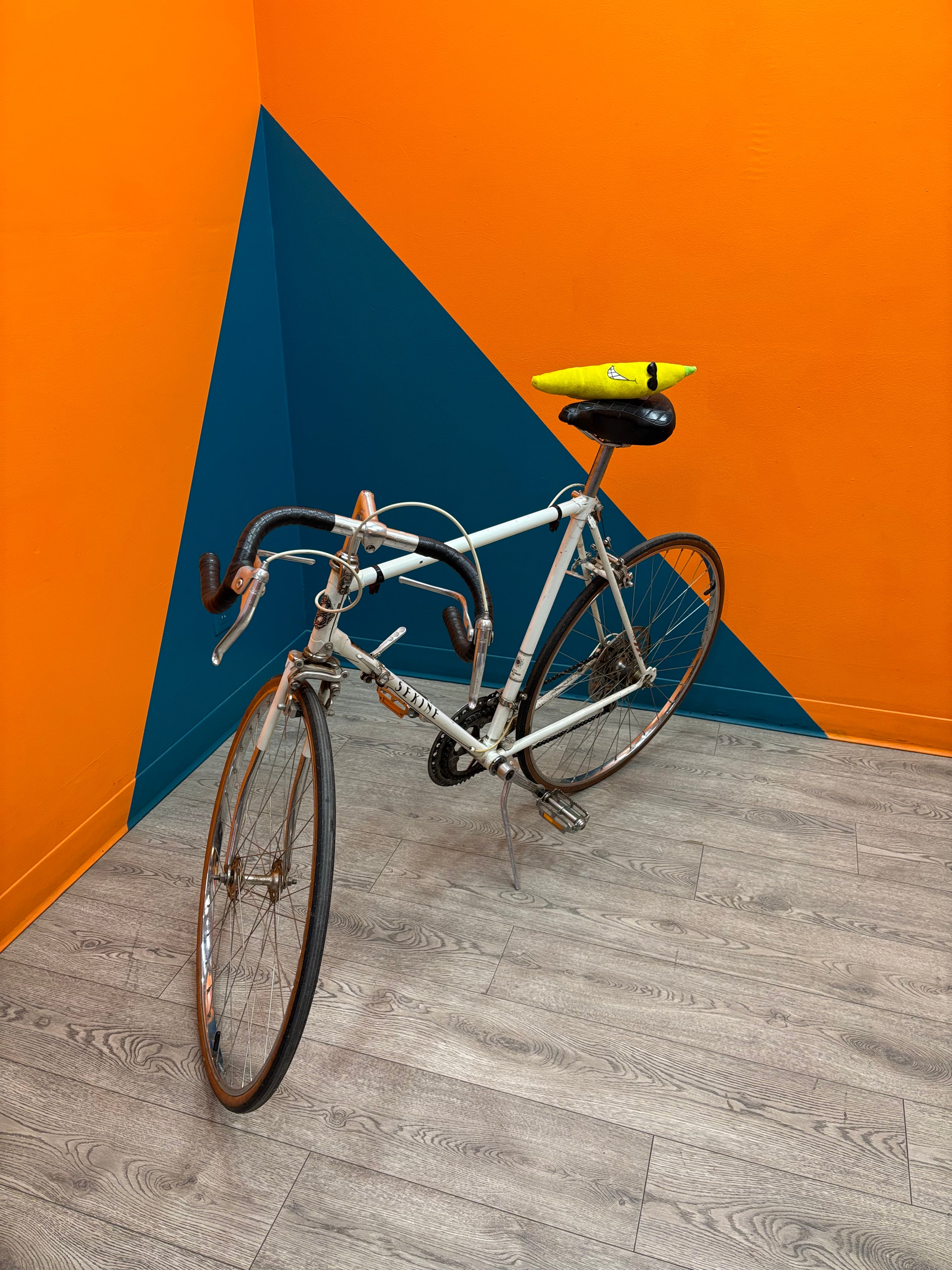 Sekine Medaille Road Bike