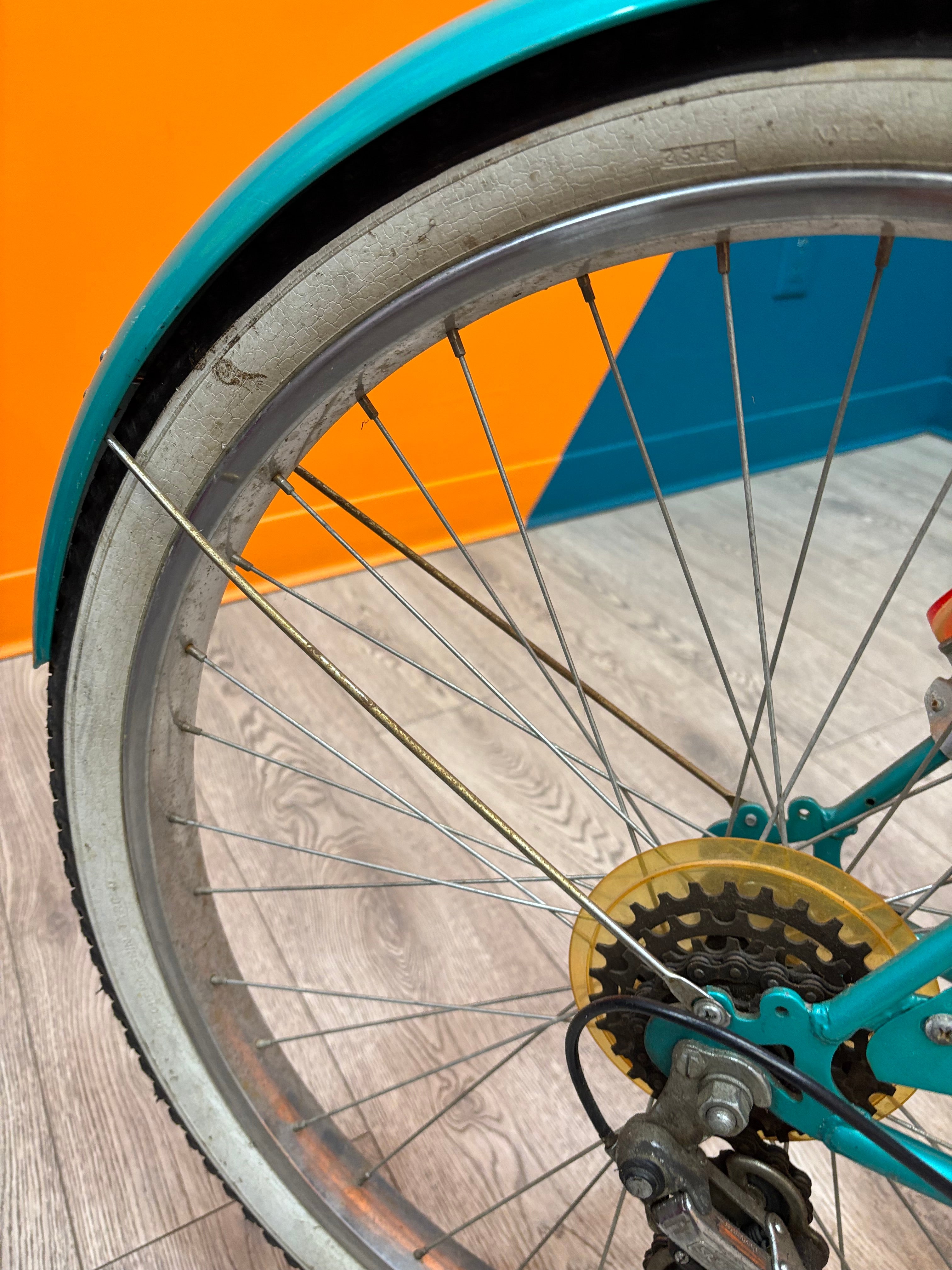 Turquoise Cruiser Collection Pro Bicycle