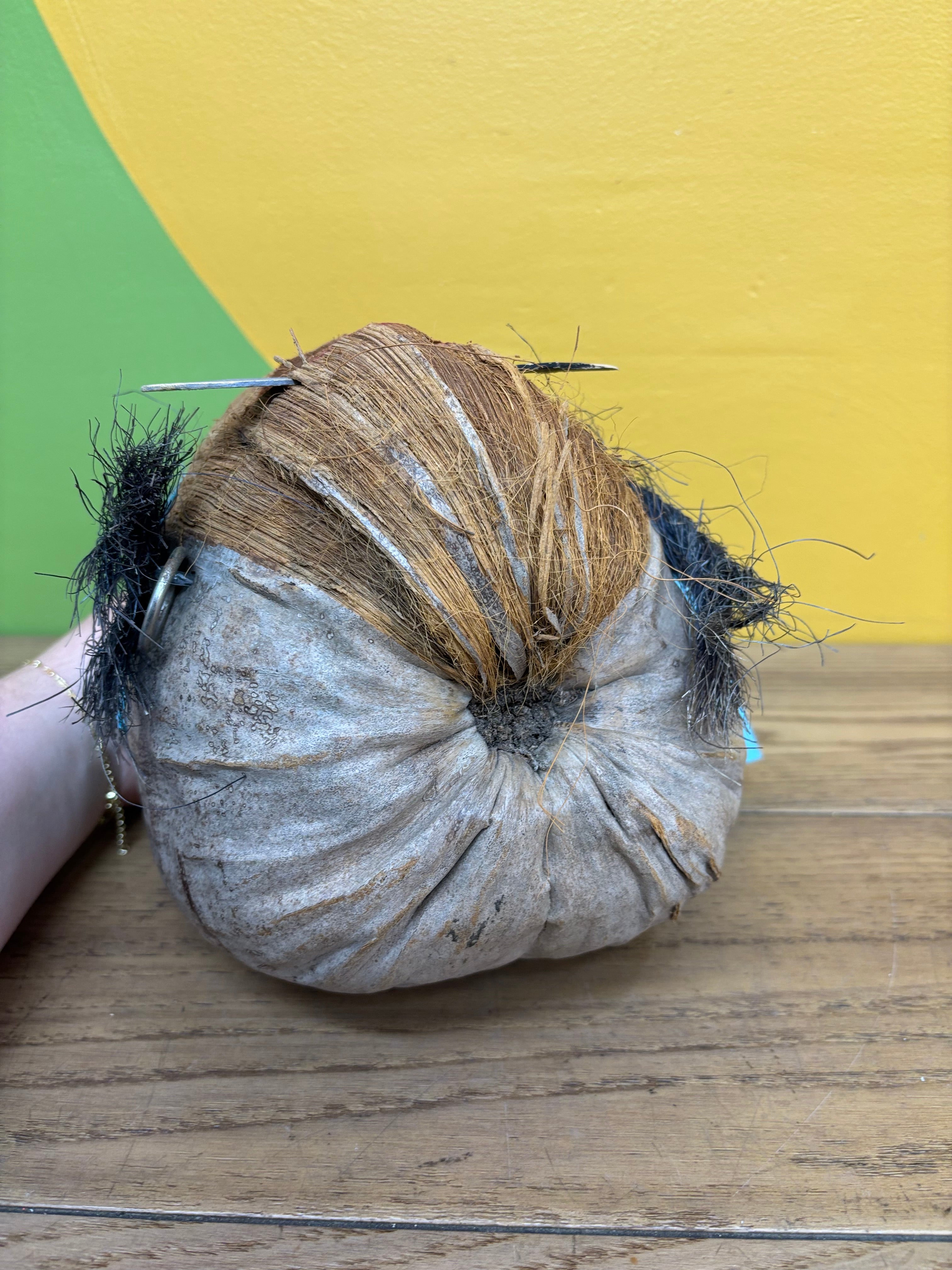 Carved Coconut Pirate Head