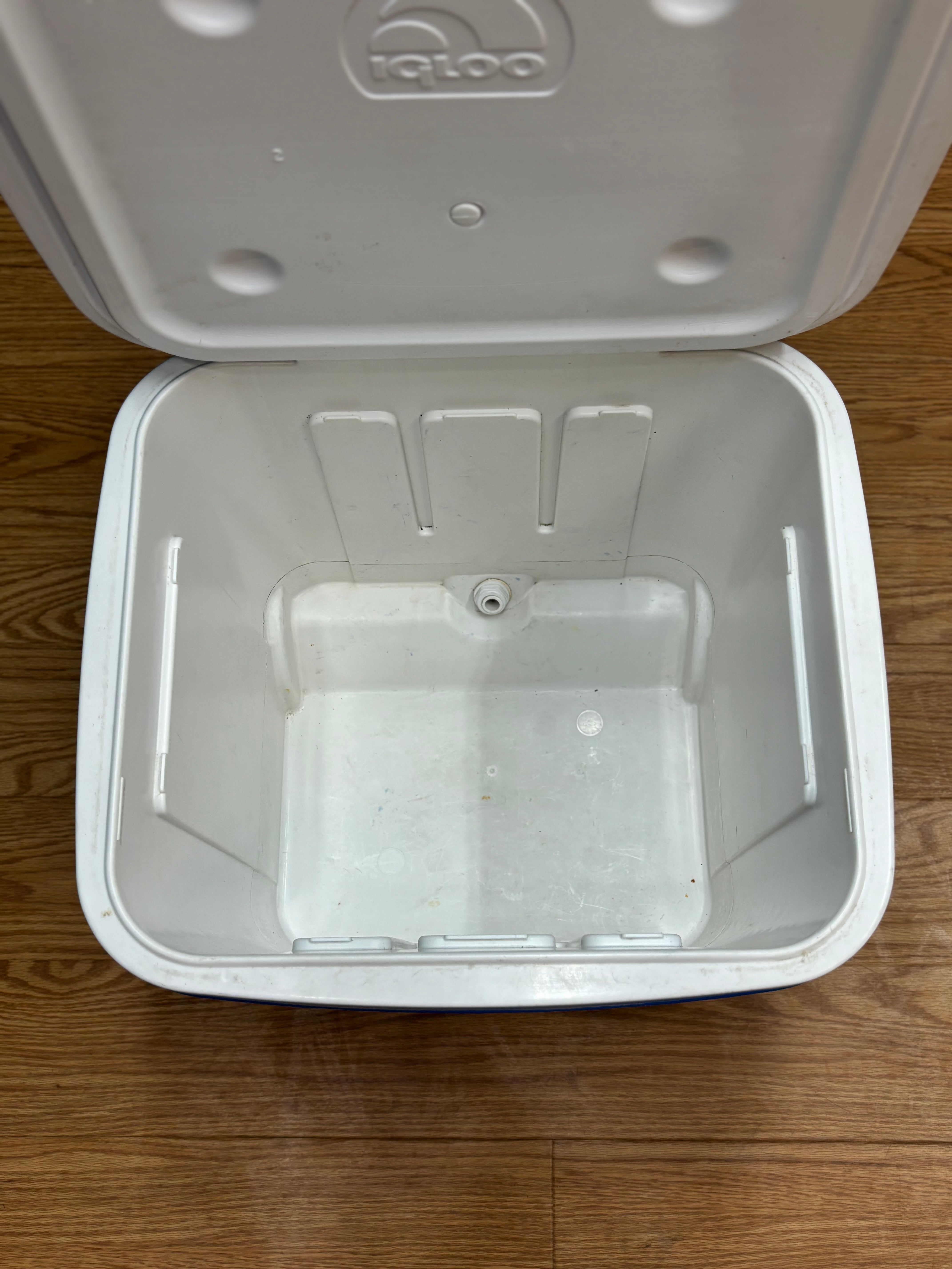 Igloo Ice Cube Roller Cooler