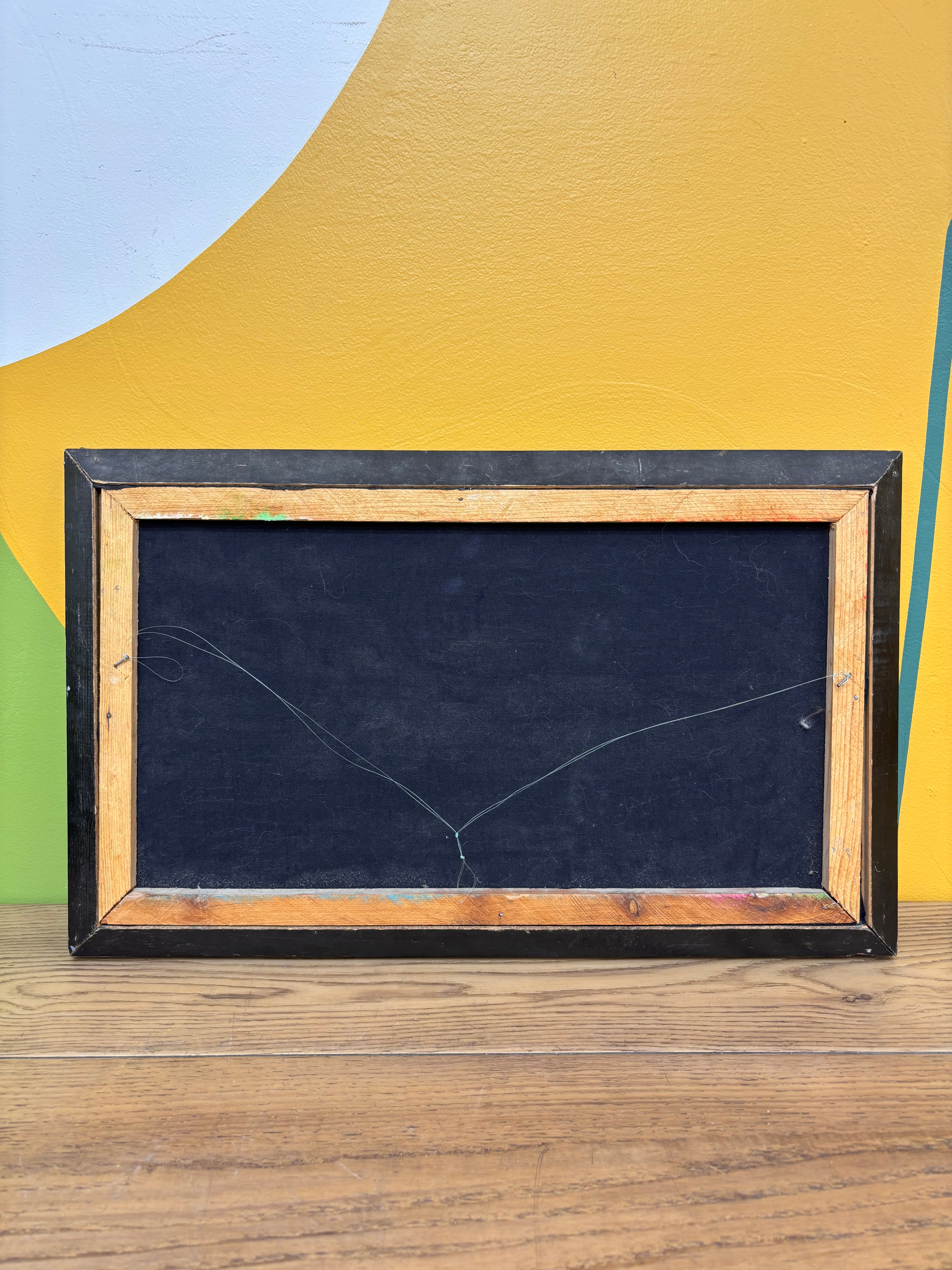 Framed Velvet Art Painting