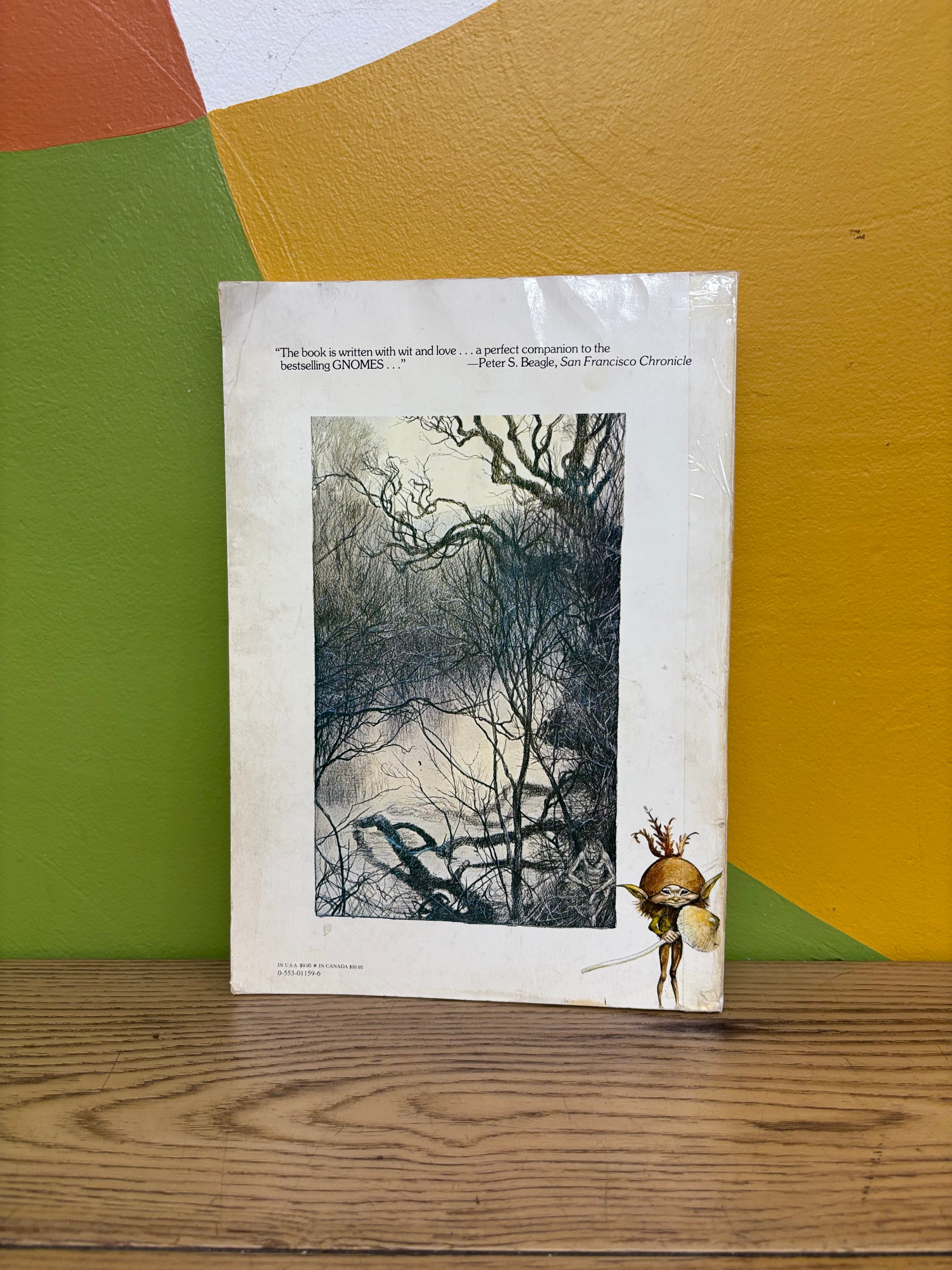 Faeries Book