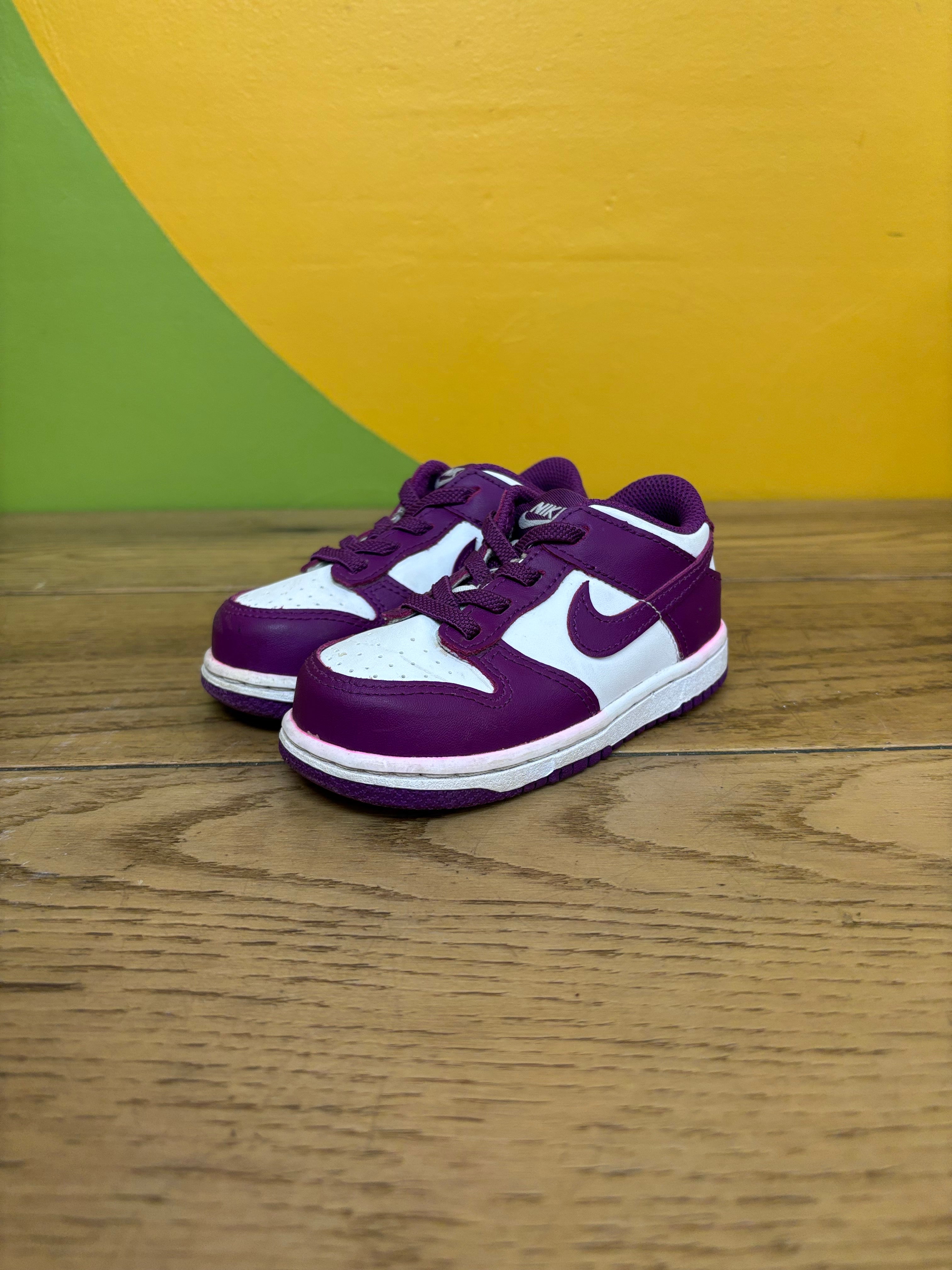 Toddler Nike Low Dunk Shoes - Size 8C