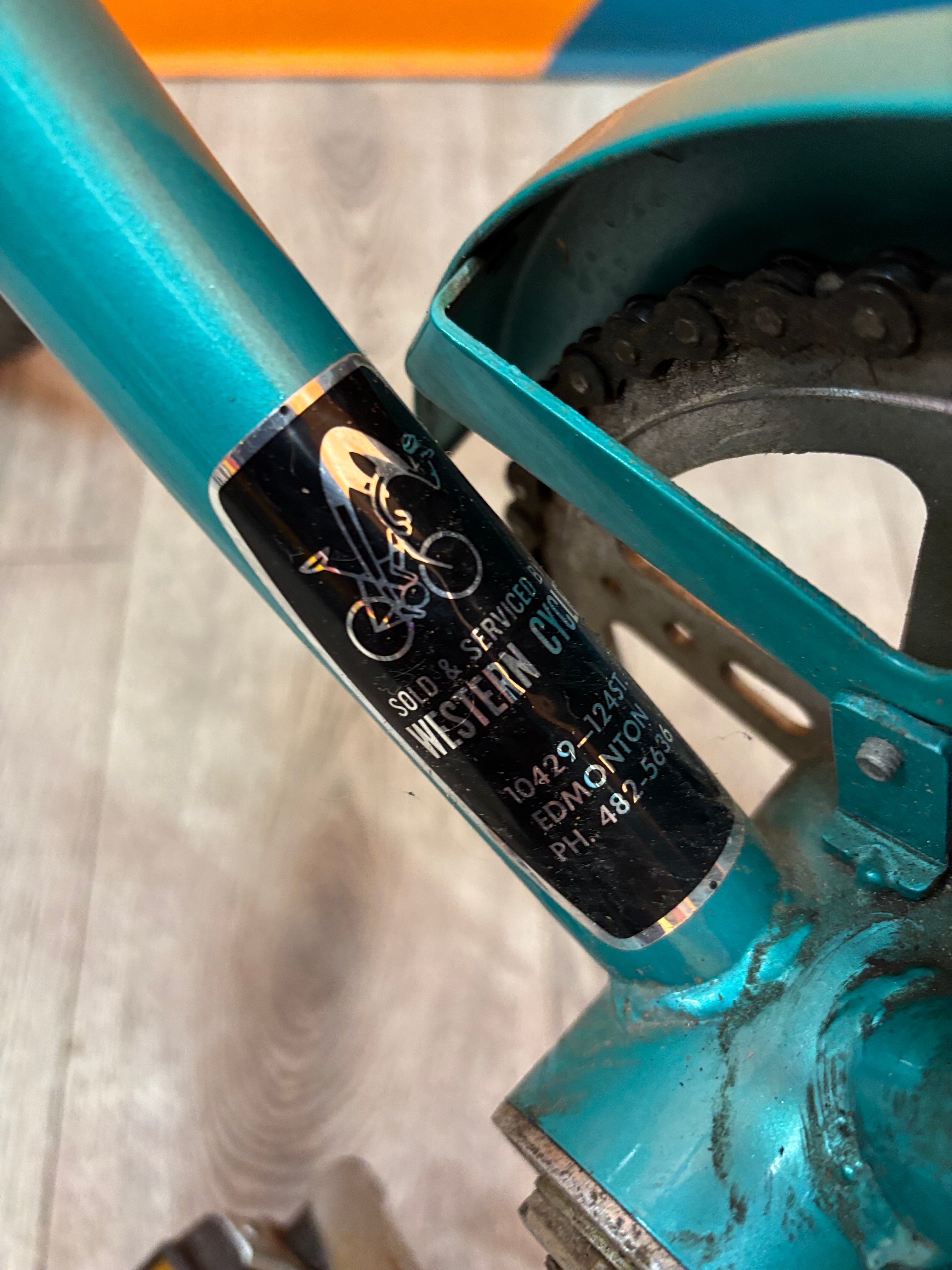 Turquoise Cruiser Collection Pro Bicycle